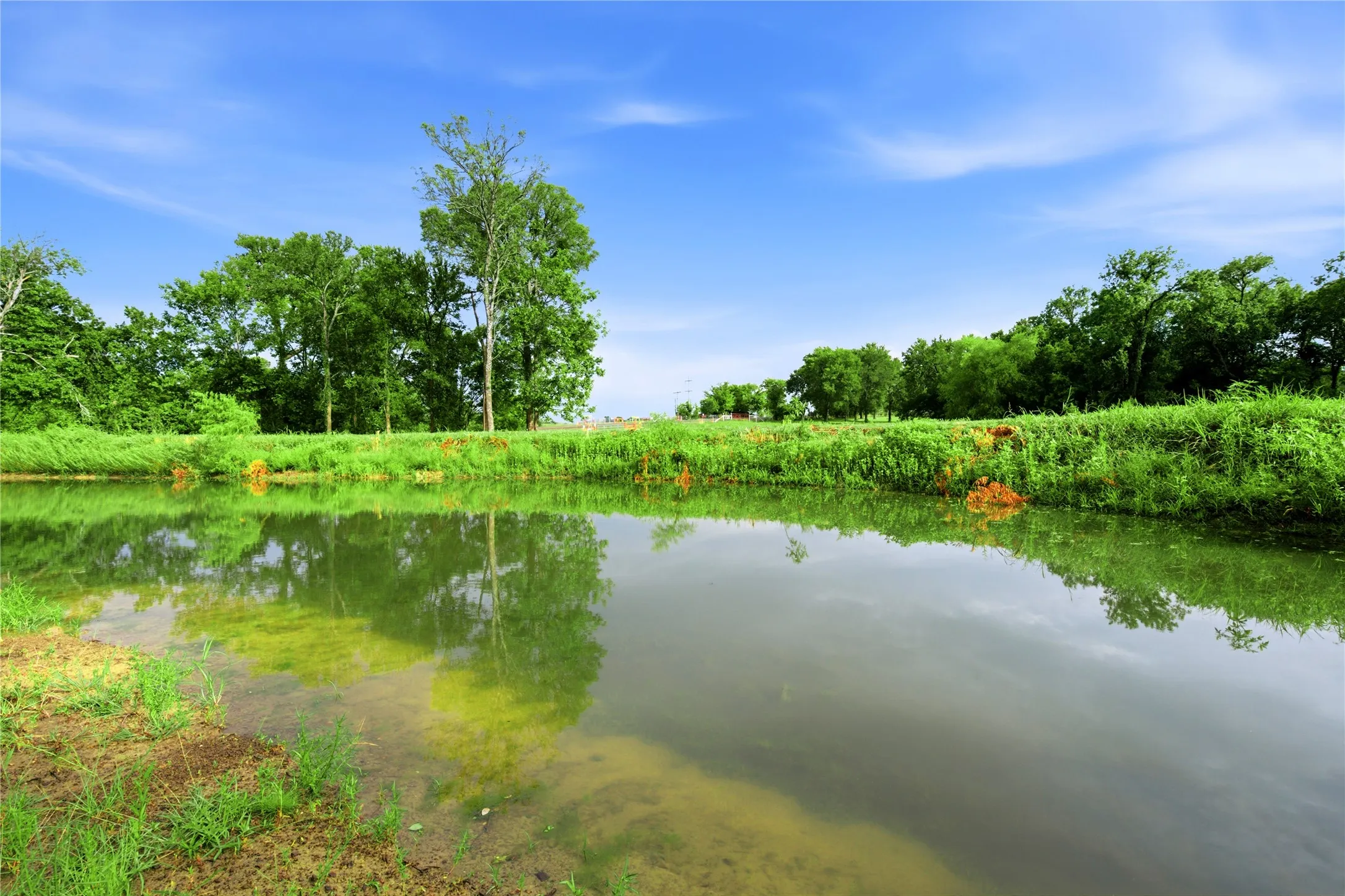 One of the ponds