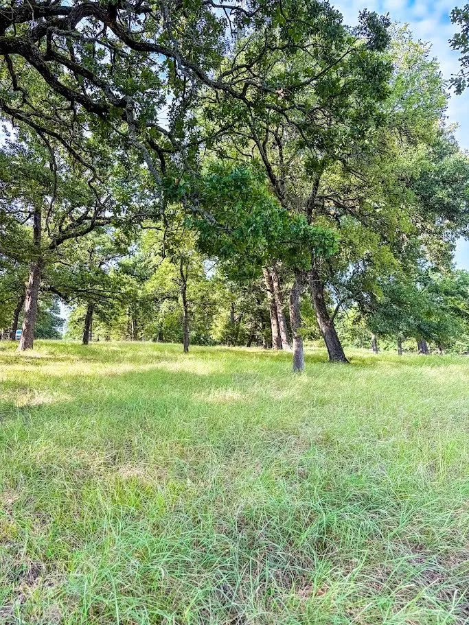 Unimproved Land For Sale in Navarro County , 14216 Clark Drive, Streetman, Texas 75859, 0, 0, Garage spaces, 0 Sqft, built in 0, Price $85,000, mls#21324594, Real Estate Agent in Streetman, Homes For Sale in Navarro county, Homes For Sale in Streetman, Realtor in Streetman Texas, Real Estate Brokerage Independent Realty Texas, Luminita Cordes Realtor