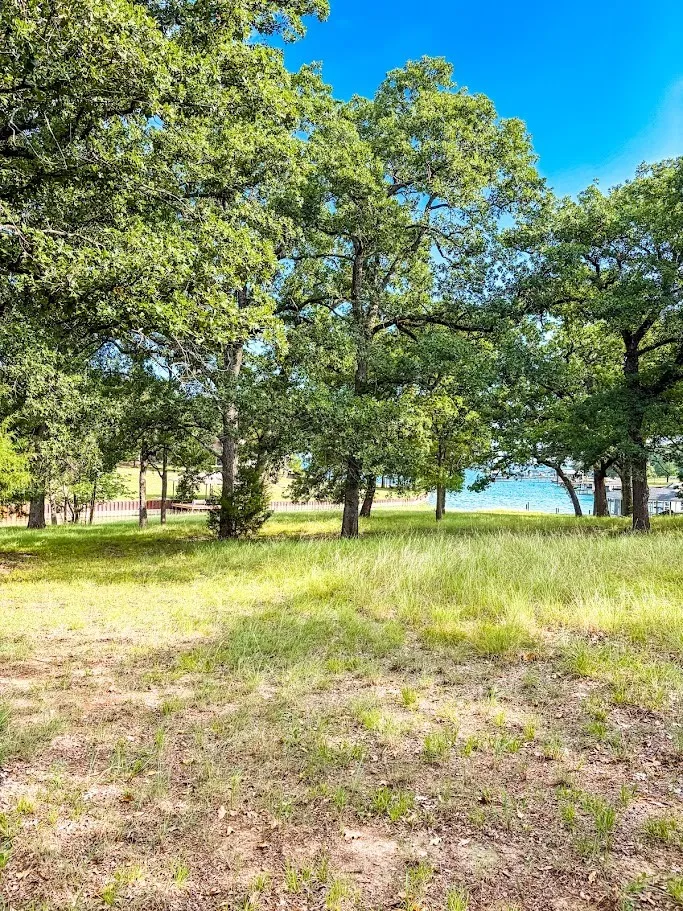 Unimproved Land For Sale in Navarro County , 14216 Clark Drive, Streetman, Texas 75859, 0, 0, Garage spaces, 0 Sqft, built in 0, Price $85,000, mls#21324594, Real Estate Agent in Streetman, Homes For Sale in Navarro county, Homes For Sale in Streetman, Realtor in Streetman Texas, Real Estate Brokerage Independent Realty Texas, Luminita Cordes Realtor