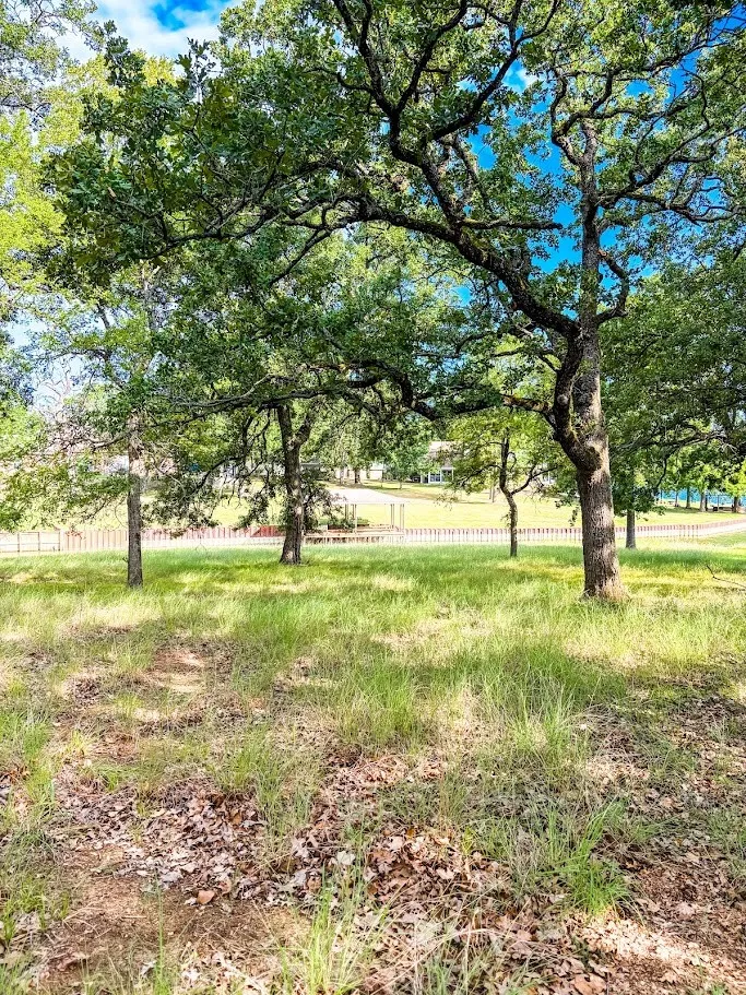 Unimproved Land For Sale in Navarro County , 14216 Clark Drive, Streetman, Texas 75859, 0, 0, Garage spaces, 0 Sqft, built in 0, Price $85,000, mls#21324594, Real Estate Agent in Streetman, Homes For Sale in Navarro county, Homes For Sale in Streetman, Realtor in Streetman Texas, Real Estate Brokerage Independent Realty Texas, Luminita Cordes Realtor