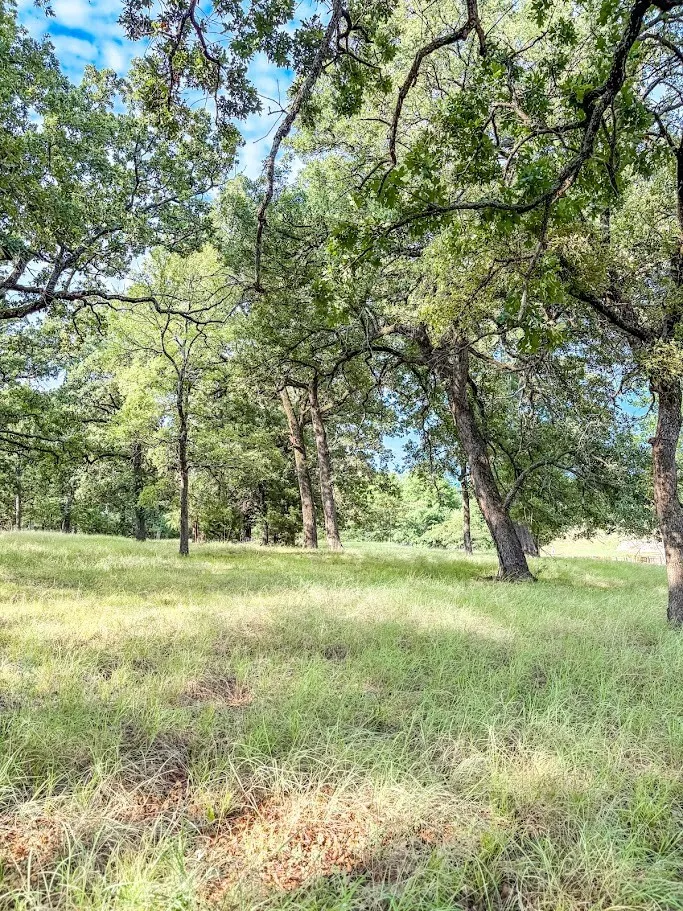 Unimproved Land For Sale in Navarro County , 14216 Clark Drive, Streetman, Texas 75859, 0, 0, Garage spaces, 0 Sqft, built in 0, Price $85,000, mls#21324594, Real Estate Agent in Streetman, Homes For Sale in Navarro county, Homes For Sale in Streetman, Realtor in Streetman Texas, Real Estate Brokerage Independent Realty Texas, Luminita Cordes Realtor