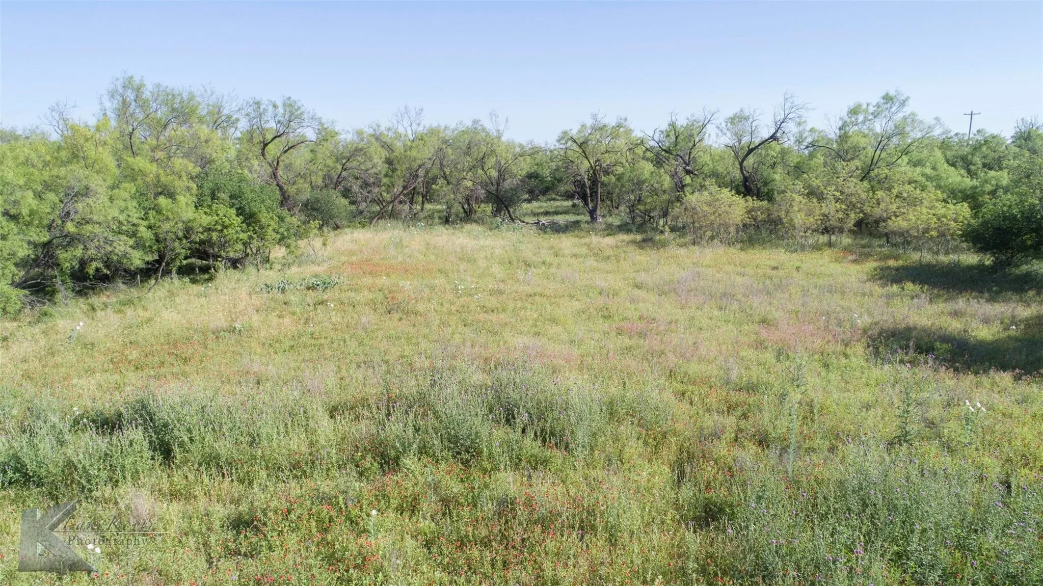 Unimproved Land For Sale in Haskell County , 9533 FM 617, Rochester, Texas 79544, 0, 0, Garage spaces, 0 Sqft, built in 0, mls#21324618, Real Estate Agent in Rochester, Homes For Sale in Haskell county, Homes For Sale in Rochester, Realtor in Rochester Texas, Real Estate Brokerage Independent Realty Texas, Luminita Cordes Realtor