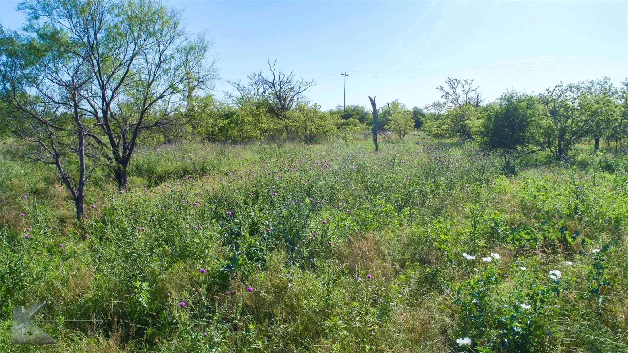 Unimproved Land For Sale in Haskell County , 9533 FM 617, Rochester, Texas 79544, 0, 0, Garage spaces, 0 Sqft, built in 0, mls#21324618, Real Estate Agent in Rochester, Homes For Sale in Haskell county, Homes For Sale in Rochester, Realtor in Rochester Texas, Real Estate Brokerage Independent Realty Texas, Luminita Cordes Realtor