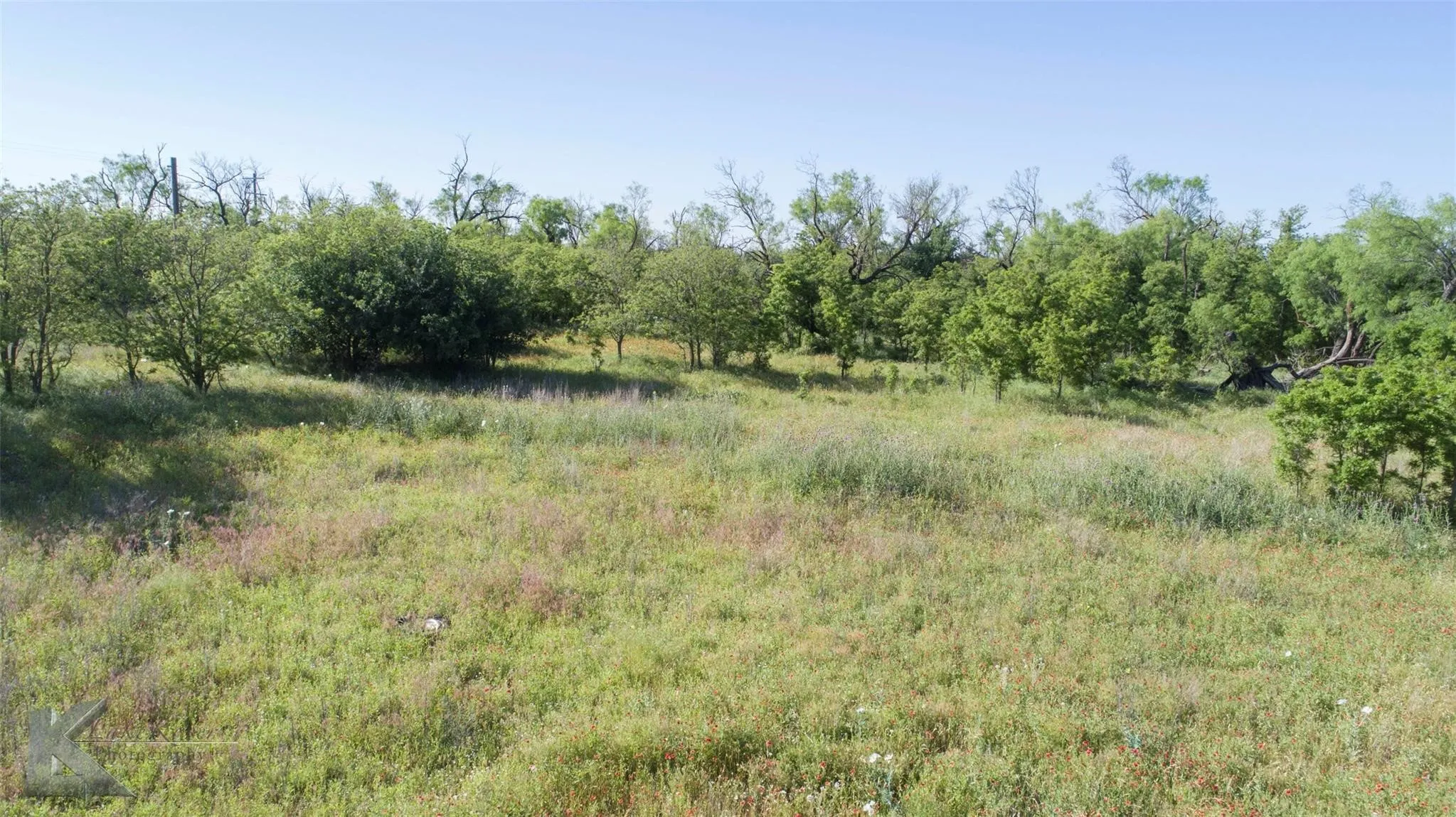 Unimproved Land For Sale in Haskell County , 9533 FM 617, Rochester, Texas 79544, 0, 0, Garage spaces, 0 Sqft, built in 0, mls#21324618, Real Estate Agent in Rochester, Homes For Sale in Haskell county, Homes For Sale in Rochester, Realtor in Rochester Texas, Real Estate Brokerage Independent Realty Texas, Luminita Cordes Realtor