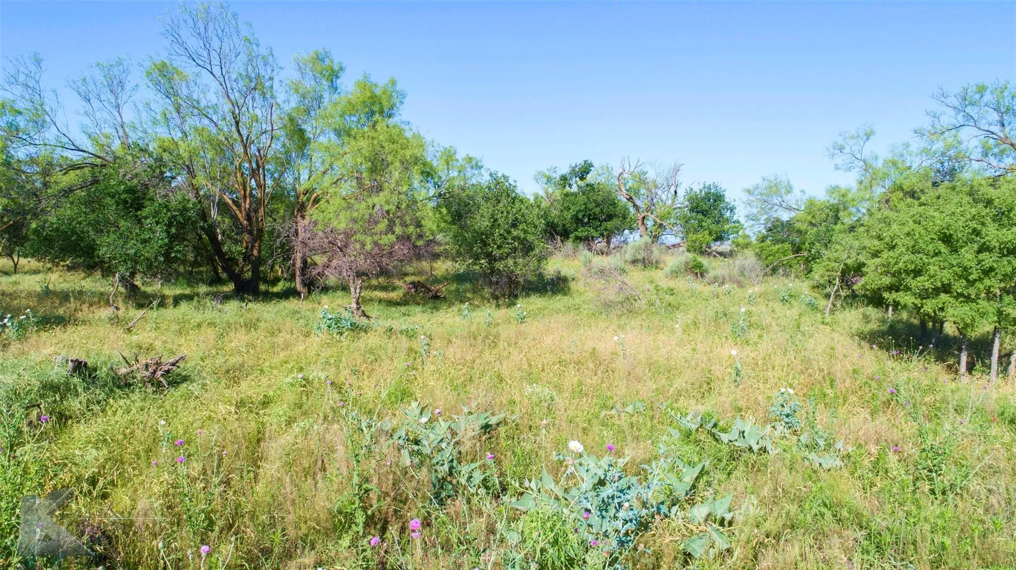 Unimproved Land For Sale in Haskell County , 9533 FM 617, Rochester, Texas 79544, 0, 0, Garage spaces, 0 Sqft, built in 0, mls#21324618, Real Estate Agent in Rochester, Homes For Sale in Haskell county, Homes For Sale in Rochester, Realtor in Rochester Texas, Real Estate Brokerage Independent Realty Texas, Luminita Cordes Realtor