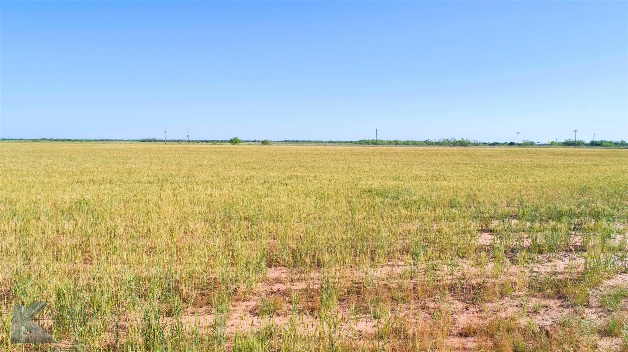 Unimproved Land For Sale in Haskell County , 9533 FM 617, Rochester, Texas 79544, 0, 0, Garage spaces, 0 Sqft, built in 0, mls#21324618, Real Estate Agent in Rochester, Homes For Sale in Haskell county, Homes For Sale in Rochester, Realtor in Rochester Texas, Real Estate Brokerage Independent Realty Texas, Luminita Cordes Realtor