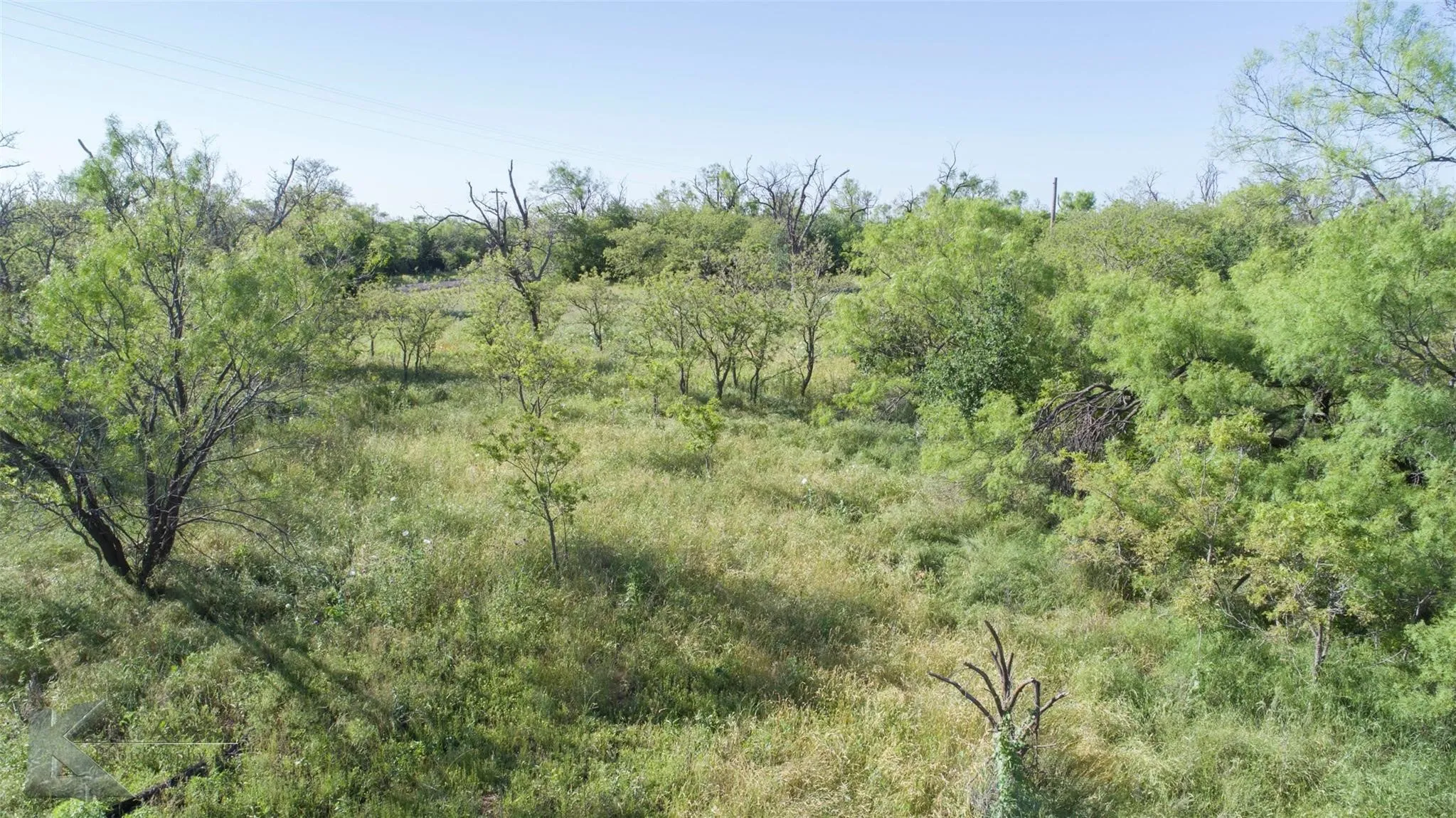 Unimproved Land For Sale in Haskell County , 9533 FM 617, Rochester, Texas 79544, 0, 0, Garage spaces, 0 Sqft, built in 0, mls#21324618, Real Estate Agent in Rochester, Homes For Sale in Haskell county, Homes For Sale in Rochester, Realtor in Rochester Texas, Real Estate Brokerage Independent Realty Texas, Luminita Cordes Realtor