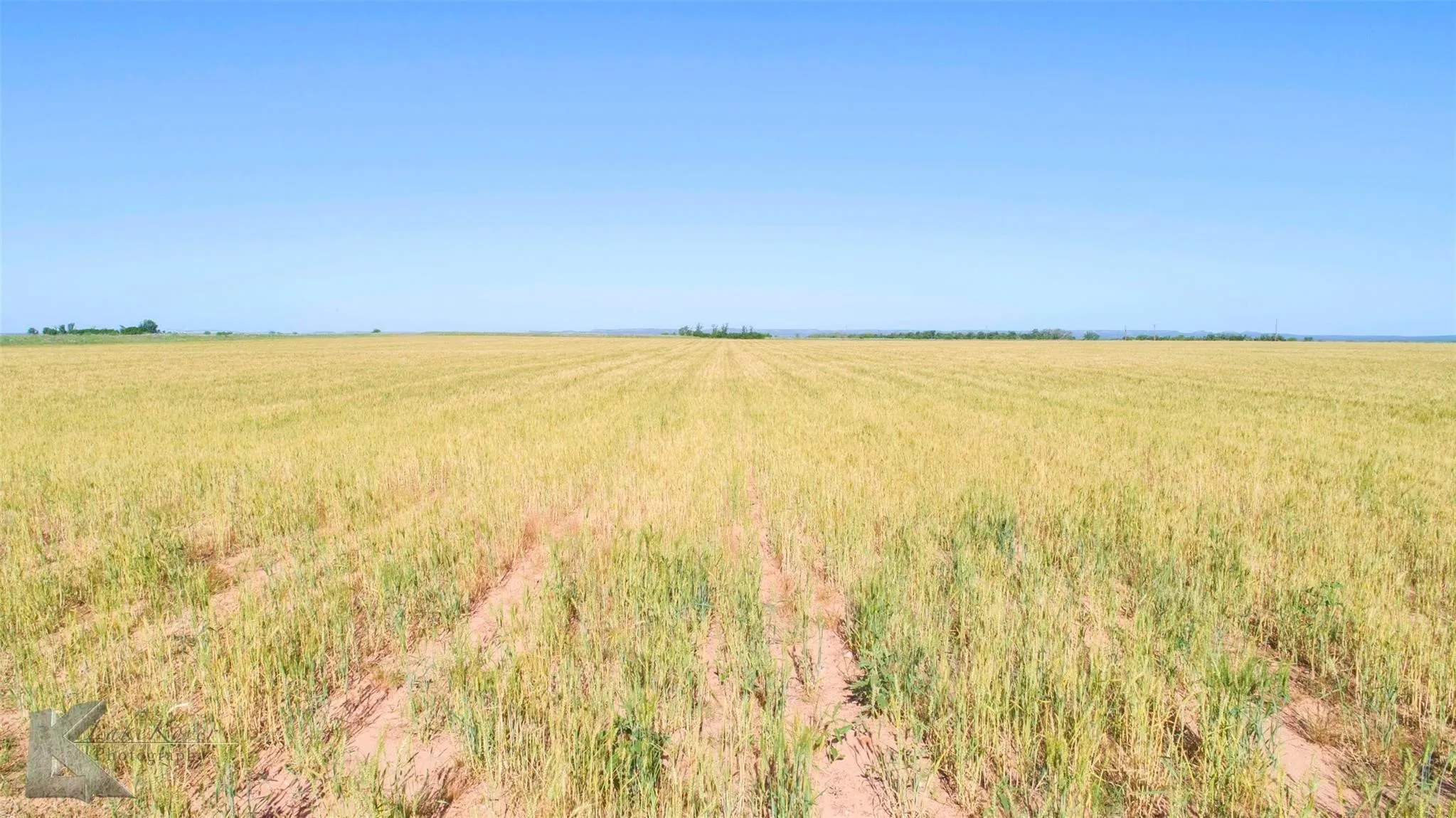 Unimproved Land For Sale in Haskell County , 9533 FM 617, Rochester, Texas 79544, 0, 0, Garage spaces, 0 Sqft, built in 0, mls#21324618, Real Estate Agent in Rochester, Homes For Sale in Haskell county, Homes For Sale in Rochester, Realtor in Rochester Texas, Real Estate Brokerage Independent Realty Texas, Luminita Cordes Realtor