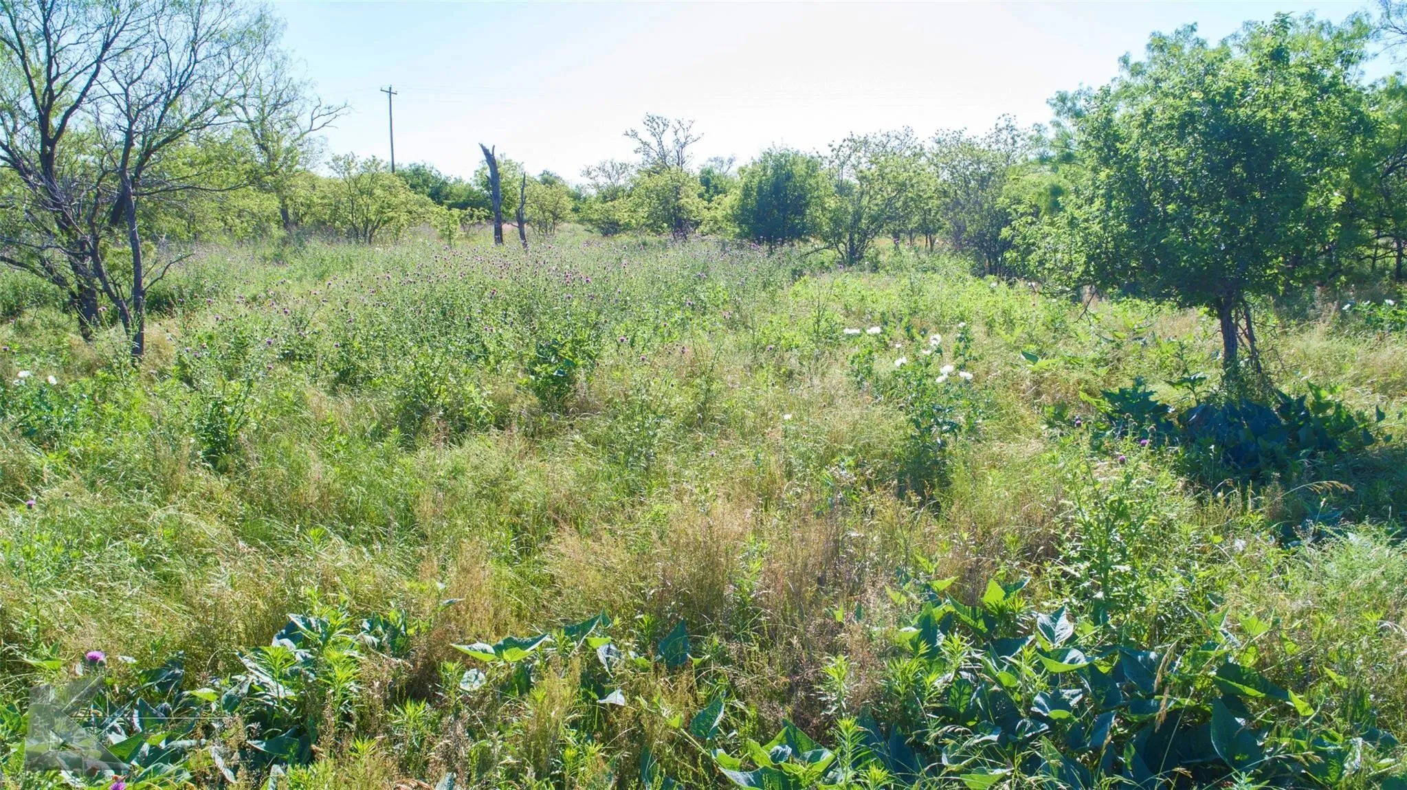 Unimproved Land For Sale in Haskell County , 9533 FM 617, Rochester, Texas 79544, 0, 0, Garage spaces, 0 Sqft, built in 0, mls#21324618, Real Estate Agent in Rochester, Homes For Sale in Haskell county, Homes For Sale in Rochester, Realtor in Rochester Texas, Real Estate Brokerage Independent Realty Texas, Luminita Cordes Realtor