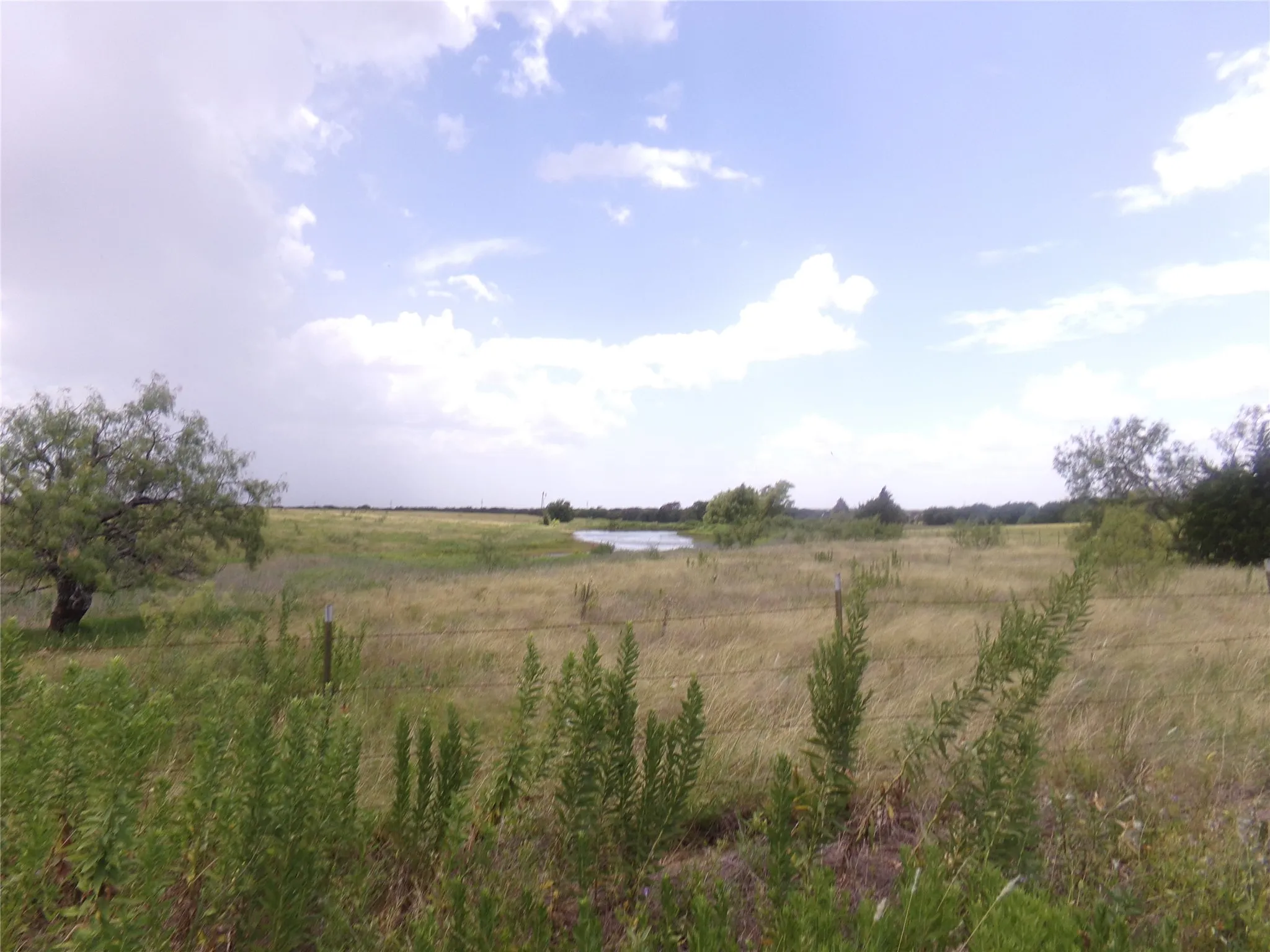 Unimproved Land For Sale in Navarro County , 000 NW County Road 2100, Corsicana, Texas 75110, 0, 0, Garage spaces, 0 Sqft, built in 0, mls#21324627, Real Estate Agent in Corsicana, Homes For Sale in Navarro county, Homes For Sale in Corsicana, Realtor in Corsicana Texas, Real Estate Brokerage Independent Realty Texas, Luminita Cordes Realtor