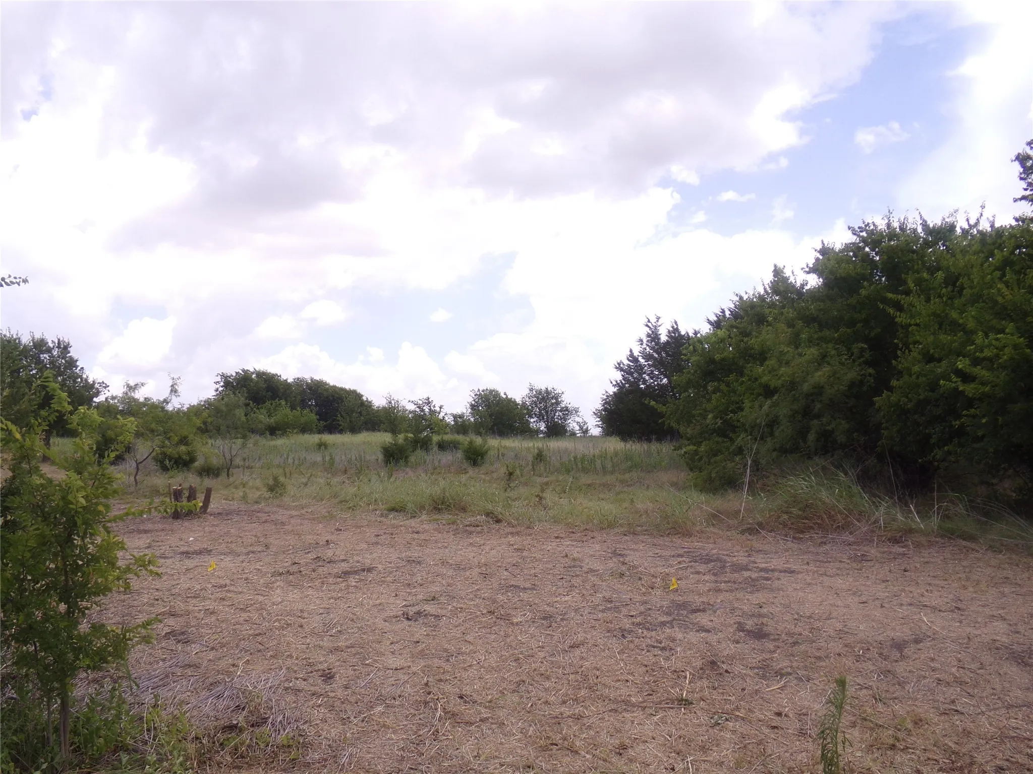 Unimproved Land For Sale in Navarro County , 000 NW County Road 2100, Corsicana, Texas 75110, 0, 0, Garage spaces, 0 Sqft, built in 0, mls#21324627, Real Estate Agent in Corsicana, Homes For Sale in Navarro county, Homes For Sale in Corsicana, Realtor in Corsicana Texas, Real Estate Brokerage Independent Realty Texas, Luminita Cordes Realtor