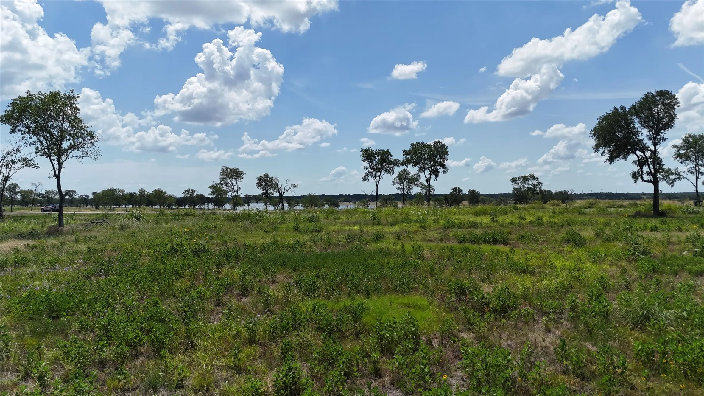Unimproved Land For Sale in Navarro County , 197 Waterfront Club Drive, Corsicana, Texas 75110, 0, 0, Garage spaces, 0 Sqft, built in 0, mls#21323514, Real Estate Agent in Corsicana, Homes For Sale in Navarro county, Homes For Sale in Corsicana, Realtor in Corsicana Texas, Real Estate Brokerage Independent Realty Texas, Luminita Cordes Realtor