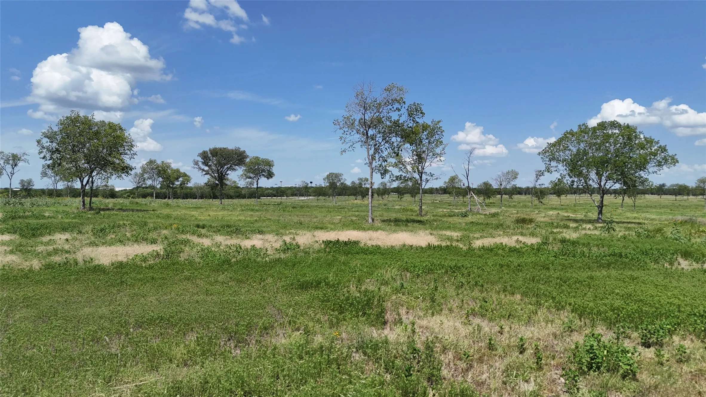 Unimproved Land For Sale in Navarro County , 197 Waterfront Club Drive, Corsicana, Texas 75110, 0, 0, Garage spaces, 0 Sqft, built in 0, mls#21323514, Real Estate Agent in Corsicana, Homes For Sale in Navarro county, Homes For Sale in Corsicana, Realtor in Corsicana Texas, Real Estate Brokerage Independent Realty Texas, Luminita Cordes Realtor
