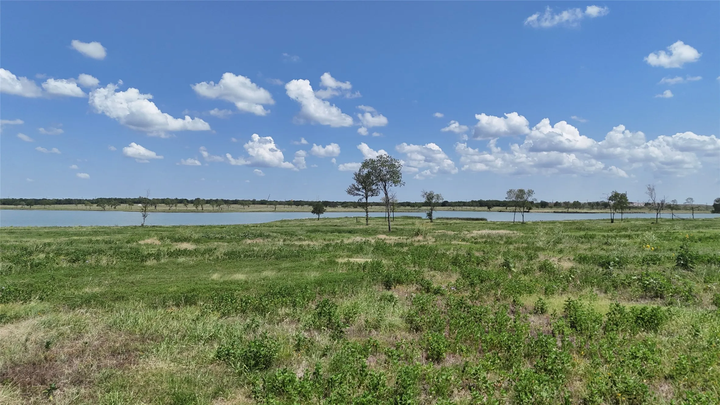 Unimproved Land For Sale in Navarro County , 197 Waterfront Club Drive, Corsicana, Texas 75110, 0, 0, Garage spaces, 0 Sqft, built in 0, mls#21323514, Real Estate Agent in Corsicana, Homes For Sale in Navarro county, Homes For Sale in Corsicana, Realtor in Corsicana Texas, Real Estate Brokerage Independent Realty Texas, Luminita Cordes Realtor