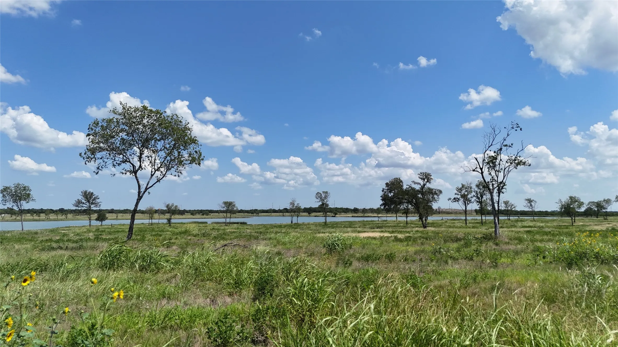 Unimproved Land For Sale in Navarro County , 197 Waterfront Club Drive, Corsicana, Texas 75110, 0, 0, Garage spaces, 0 Sqft, built in 0, mls#21323514, Real Estate Agent in Corsicana, Homes For Sale in Navarro county, Homes For Sale in Corsicana, Realtor in Corsicana Texas, Real Estate Brokerage Independent Realty Texas, Luminita Cordes Realtor