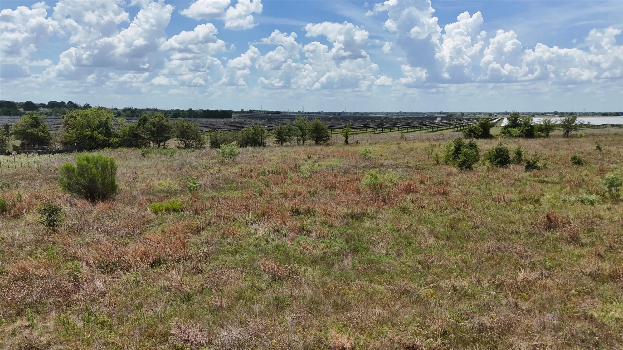 Imagine mornings surrounded by peaceful pasture and mature trees.