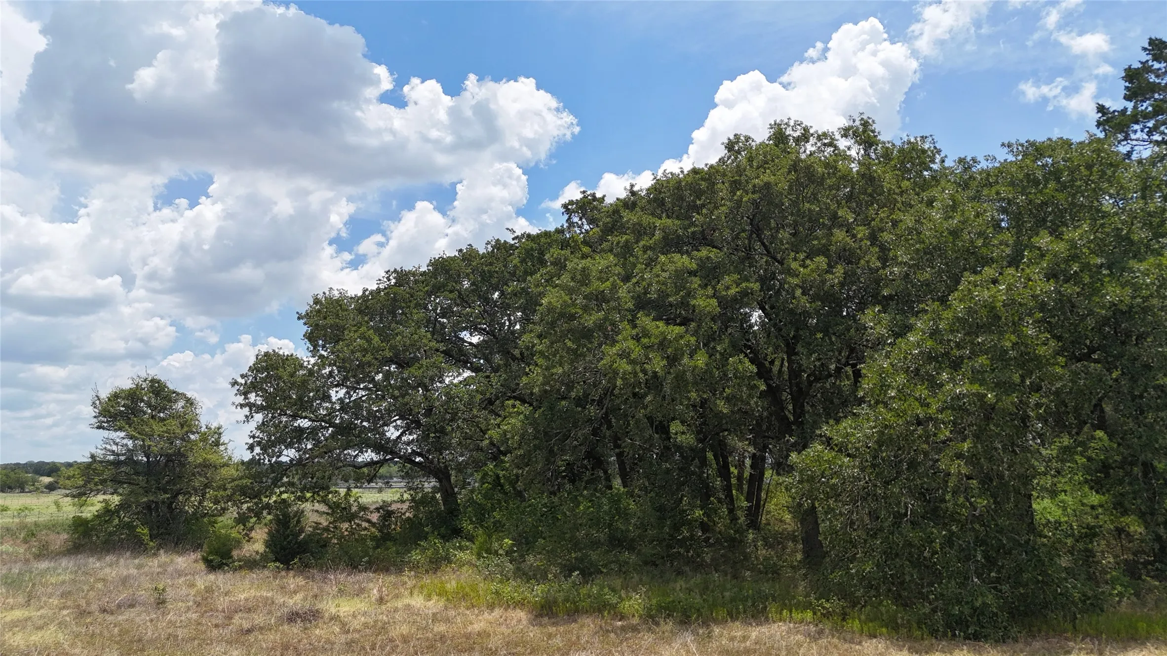 Create your own Texas homestead with room to grow.