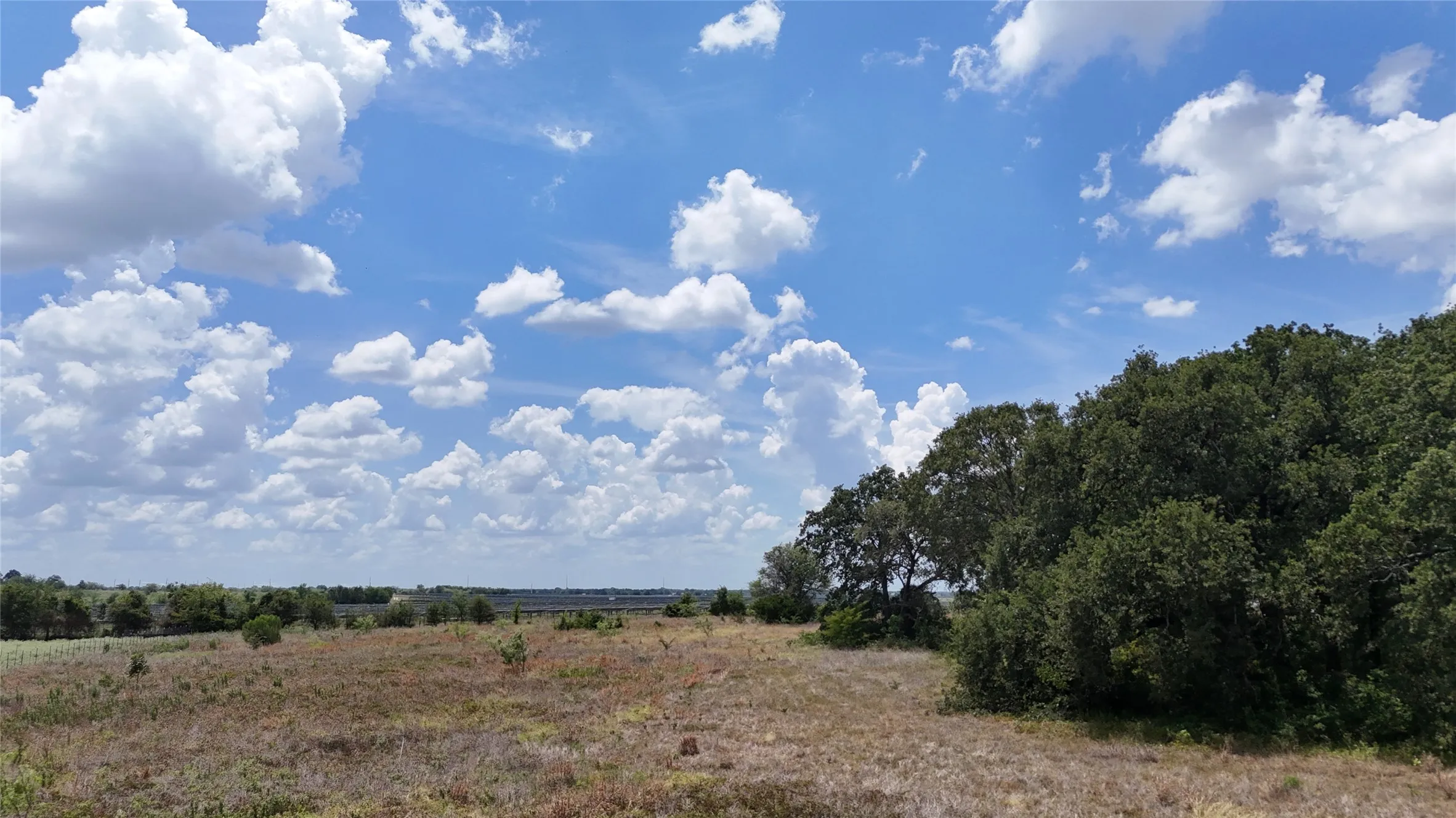 Cleared pasture creates an ideal setting for your dream country home.