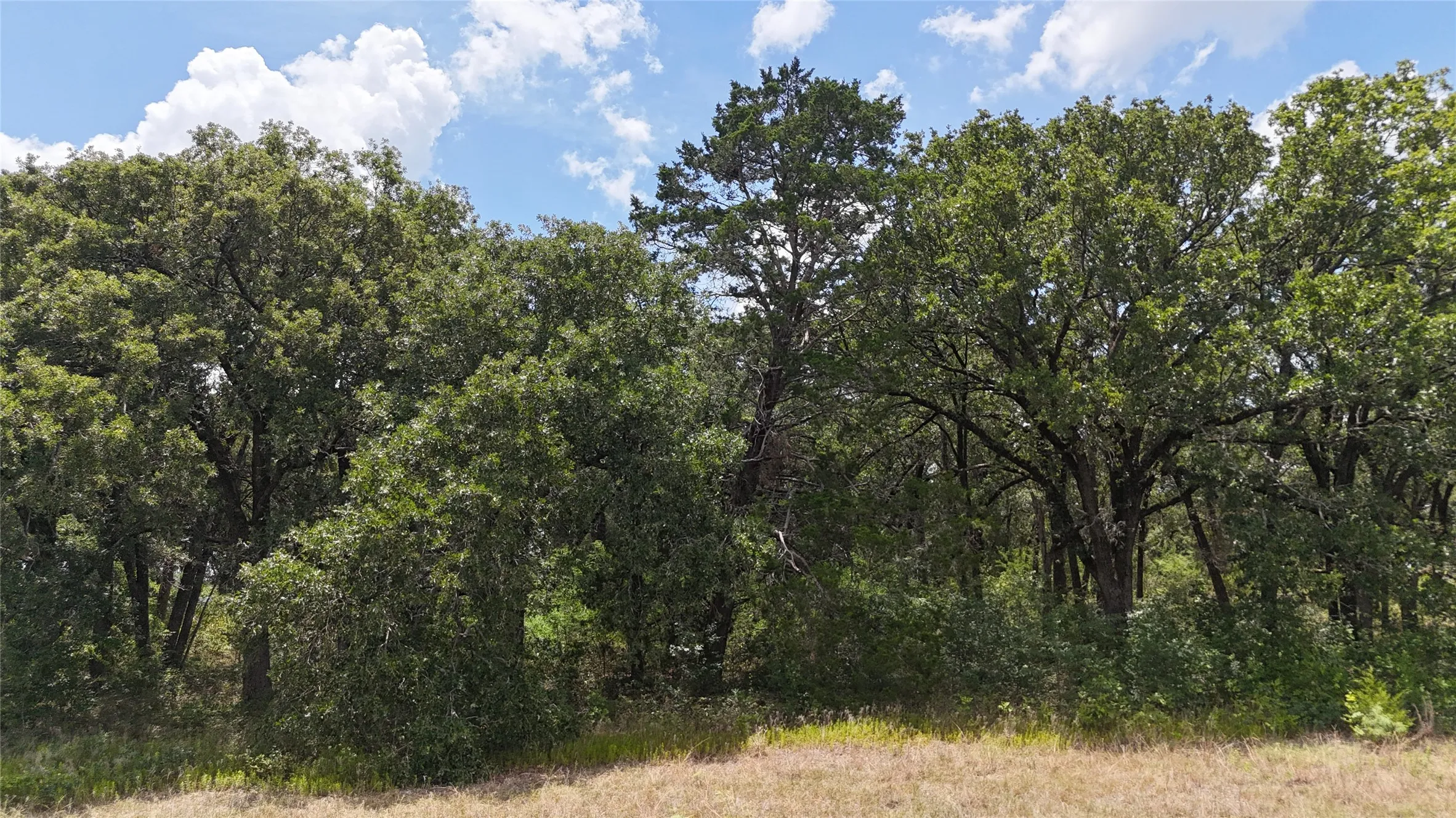A peaceful homesite designed for those who appreciate wide open spaces.