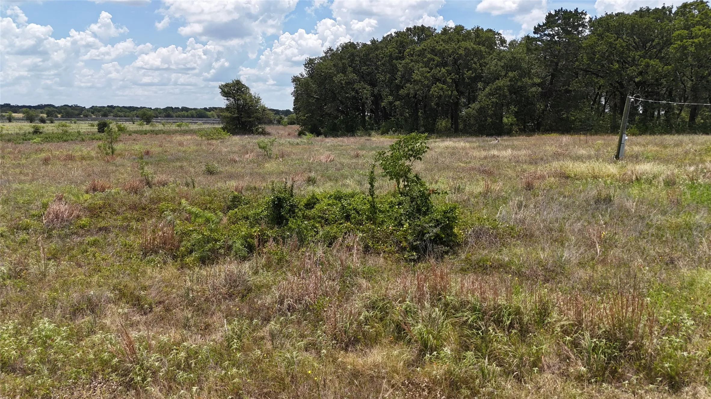 Open pasture provides flexibility for countless building possibilities.