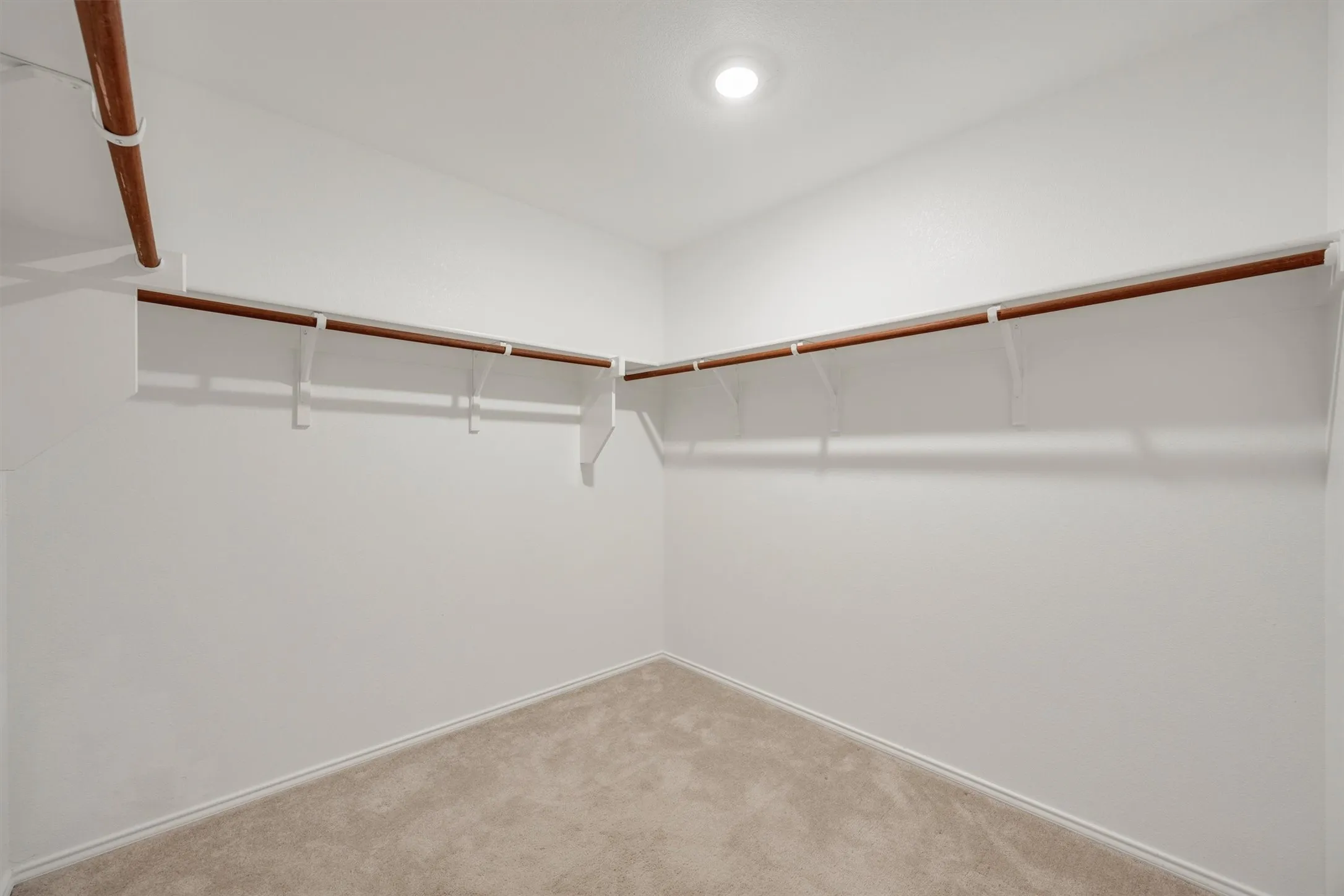 Spacious walk-in closet featuring white walls, light-toned carpet flooring, a recessed ceiling light, and extensive built-in shelving with hanging rods