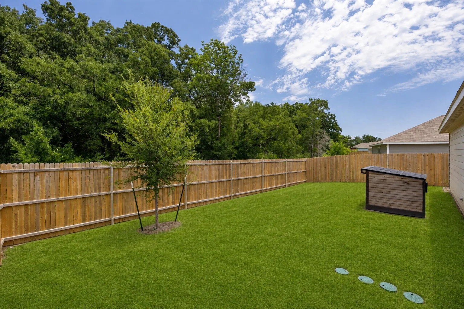 Expansive backyard featuring a manicured lawn, full privacy fencing, and mature trees beyond the property line