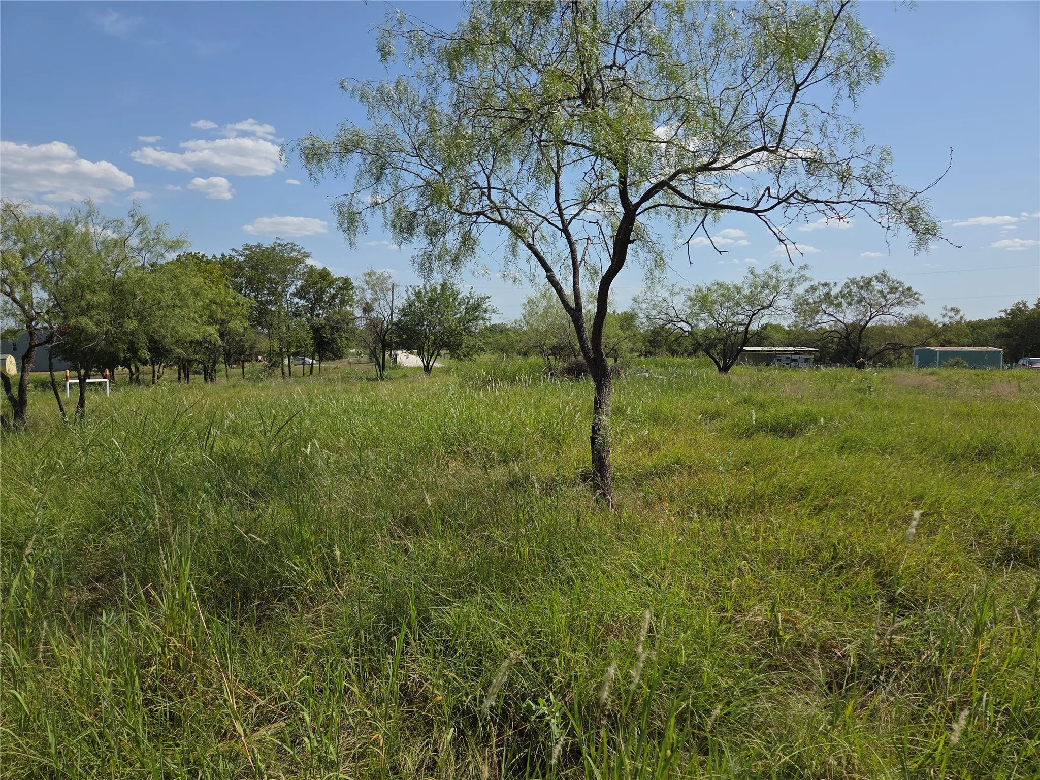 Unimproved Land For Sale in Navarro County , Lot 5-R4 SW County Road, Corsicana, Texas 75110, 0, 0, Garage spaces, 0 Sqft, built in 0, mls#21323947, Real Estate Agent in Corsicana, Homes For Sale in Navarro county, Homes For Sale in Corsicana, Realtor in Corsicana Texas, Real Estate Brokerage Independent Realty Texas, Luminita Cordes Realtor