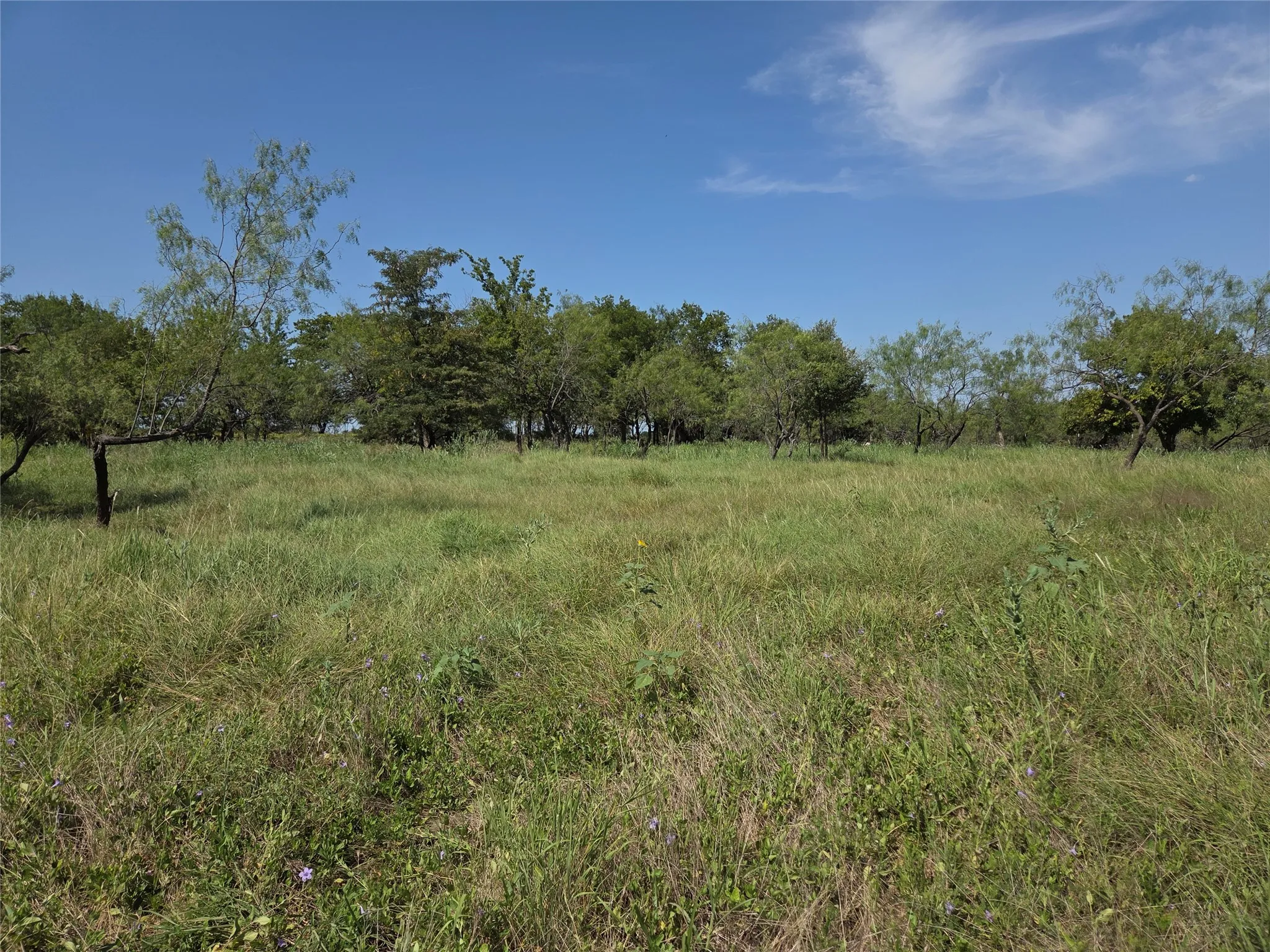 Unimproved Land For Sale in Navarro County , Lot 5-R4 SW County Road, Corsicana, Texas 75110, 0, 0, Garage spaces, 0 Sqft, built in 0, mls#21323947, Real Estate Agent in Corsicana, Homes For Sale in Navarro county, Homes For Sale in Corsicana, Realtor in Corsicana Texas, Real Estate Brokerage Independent Realty Texas, Luminita Cordes Realtor