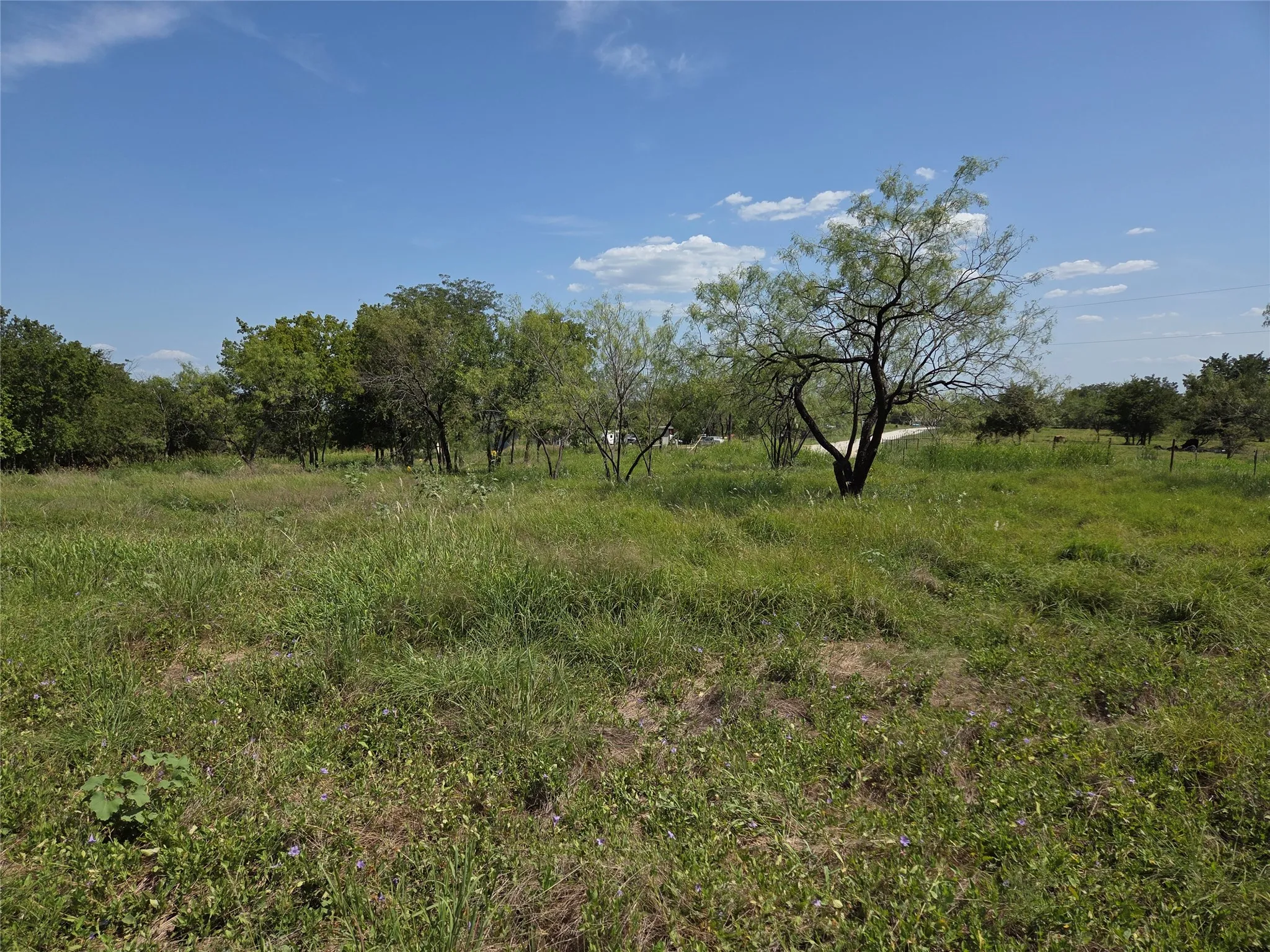 Unimproved Land For Sale in Navarro County , Lot 5-R4 SW County Road, Corsicana, Texas 75110, 0, 0, Garage spaces, 0 Sqft, built in 0, mls#21323947, Real Estate Agent in Corsicana, Homes For Sale in Navarro county, Homes For Sale in Corsicana, Realtor in Corsicana Texas, Real Estate Brokerage Independent Realty Texas, Luminita Cordes Realtor