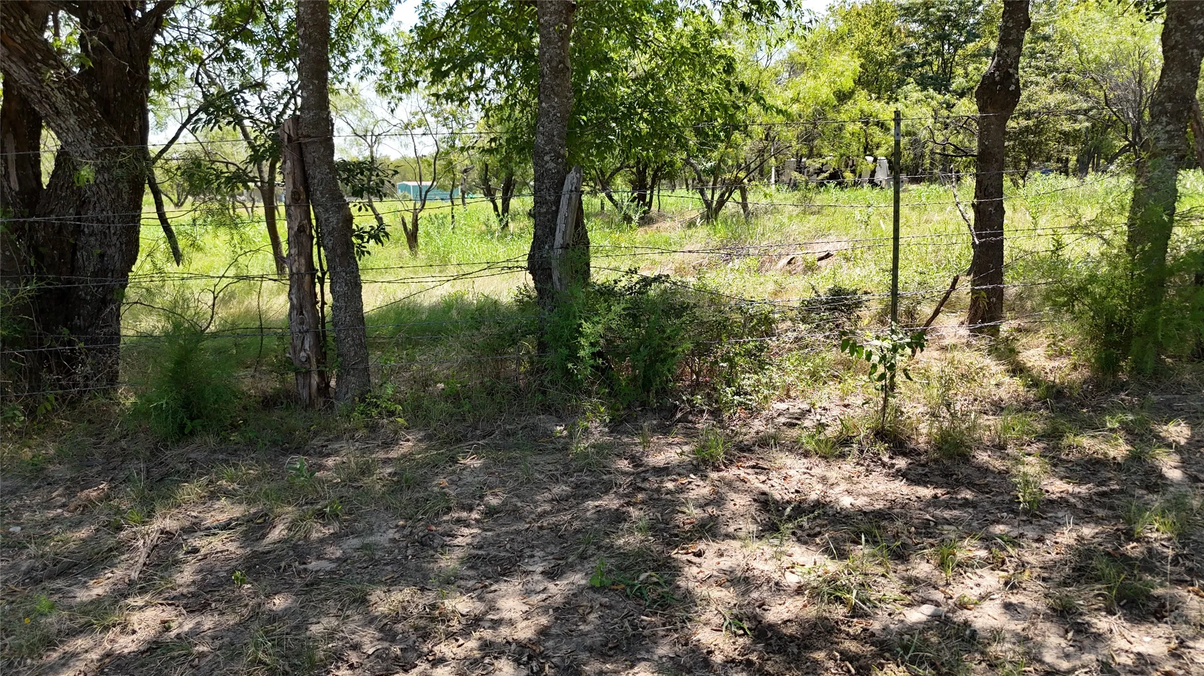 Wooded portions of the property offer cool shade, peaceful walking paths, and plenty of natural privacy.