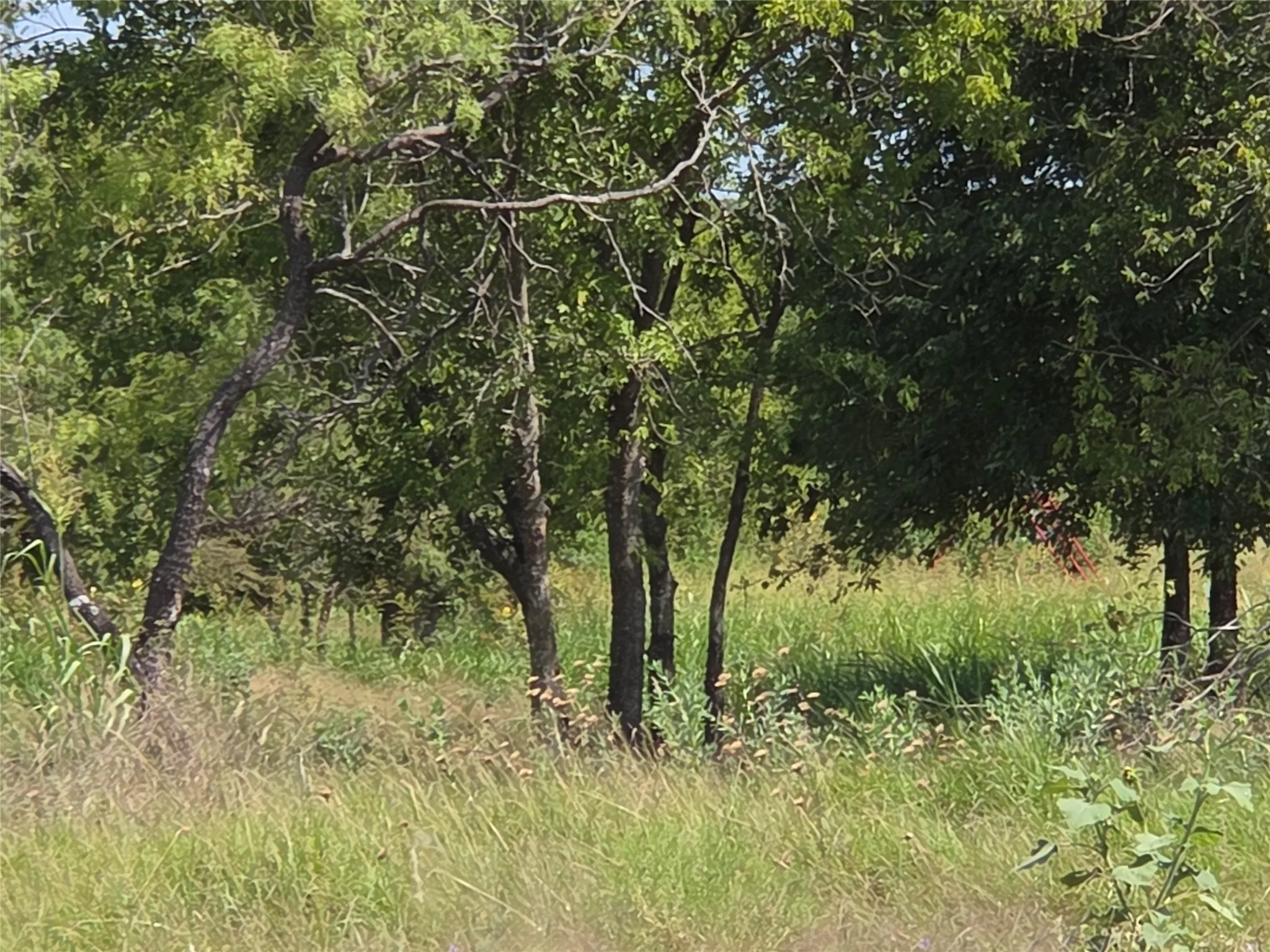 A wooded section with a seasonal drainage area attracts wildlife while adding natural beauty and privacy.