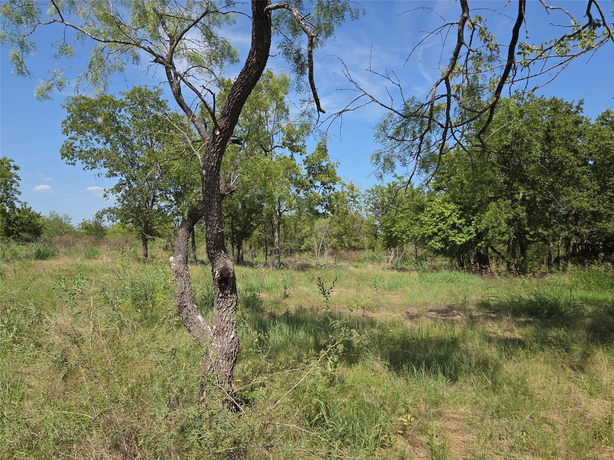 Multiple potential building locations let you position your home to maximize privacy and peaceful country views.