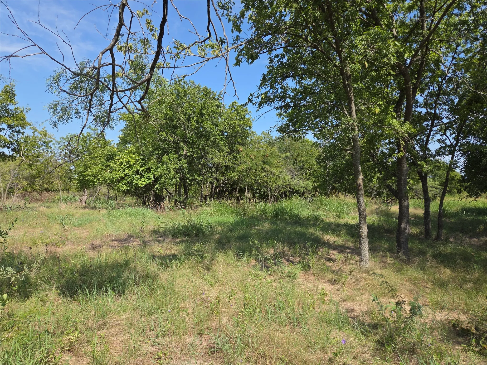 Unimproved Land For Sale in Navarro County , Lot 5-R4 SW County Road, Corsicana, Texas 75110, 0, 0, Garage spaces, 0 Sqft, built in 0, mls#21323947, Real Estate Agent in Corsicana, Homes For Sale in Navarro county, Homes For Sale in Corsicana, Realtor in Corsicana Texas, Real Estate Brokerage Independent Realty Texas, Luminita Cordes Realtor