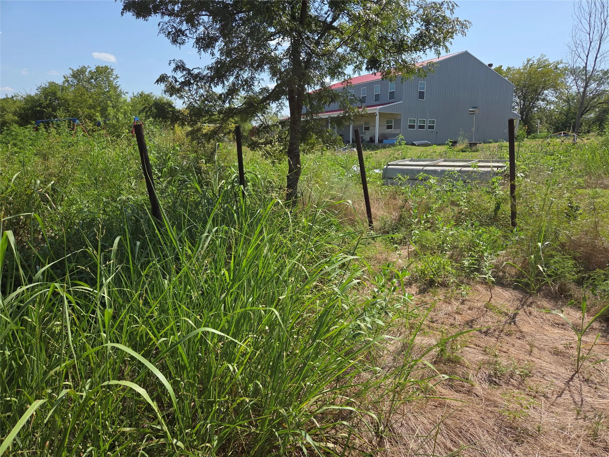 Established trees and open understory create an inviting woodland setting full of Texas country charm.