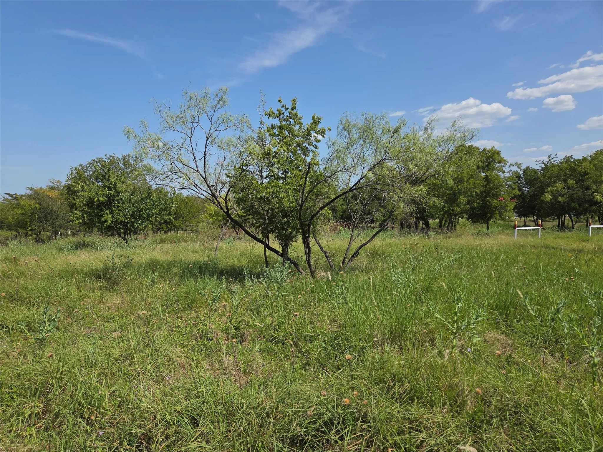 Unimproved Land For Sale in Navarro County , Lot 5-R4 SW County Road, Corsicana, Texas 75110, 0, 0, Garage spaces, 0 Sqft, built in 0, mls#21323947, Real Estate Agent in Corsicana, Homes For Sale in Navarro county, Homes For Sale in Corsicana, Realtor in Corsicana Texas, Real Estate Brokerage Independent Realty Texas, Luminita Cordes Realtor