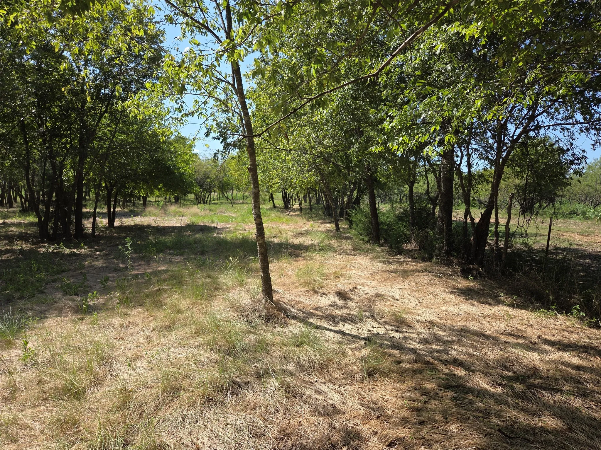 Enjoy peaceful wooded sections perfect for exploring, relaxing, or creating a private outdoor oasis just minutes from town.