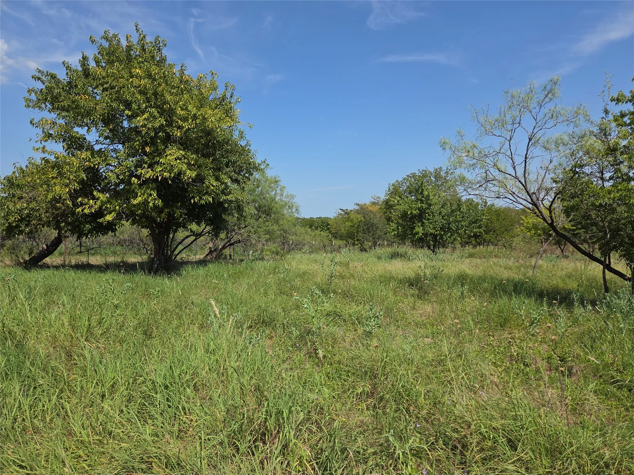 Bring your horses, livestock, or country lifestyle dreams to this unrestricted acreage outside Corsicana.