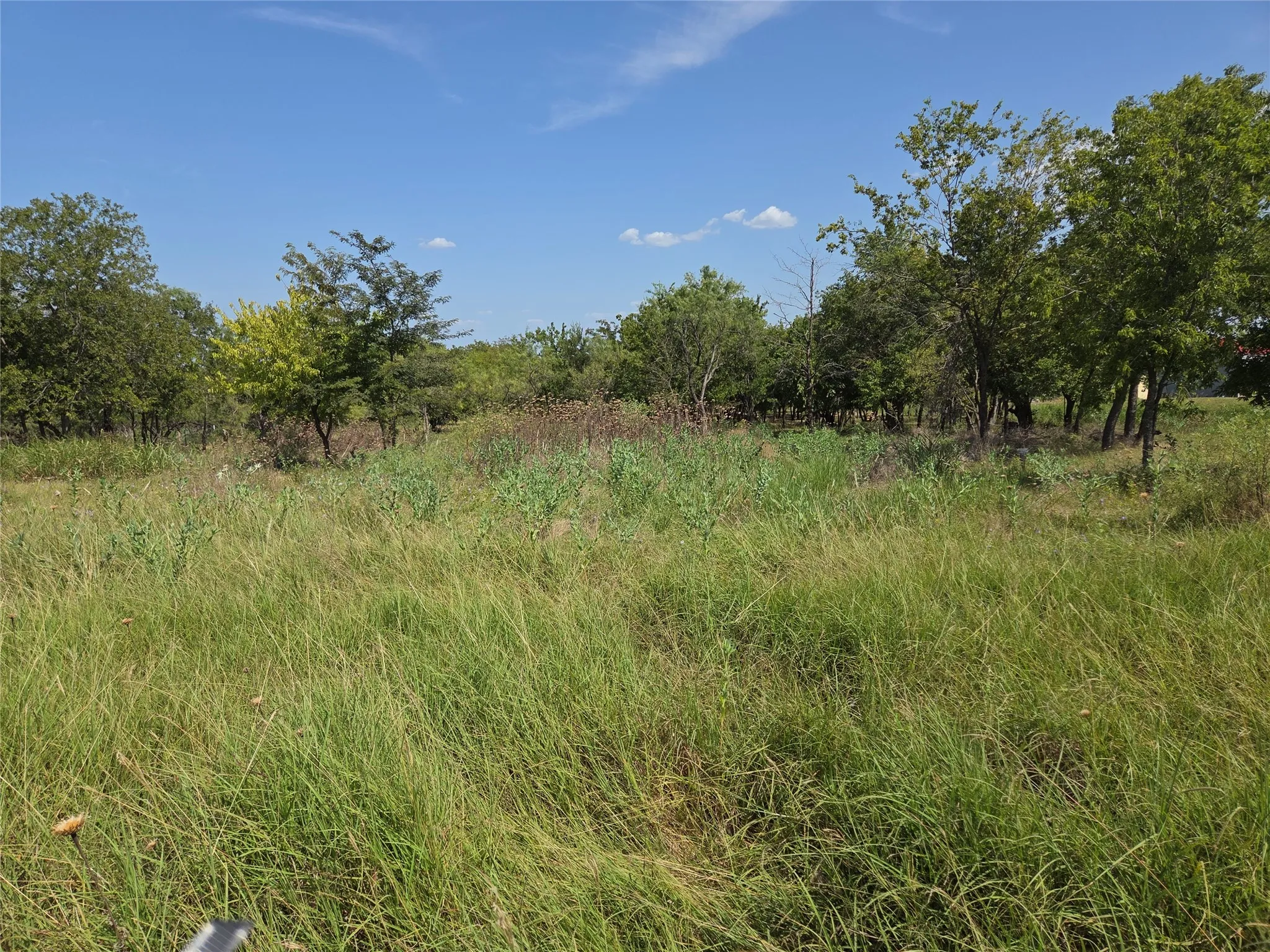 Level terrain gives you the freedom to design your homesite exactly the way you've imagined.