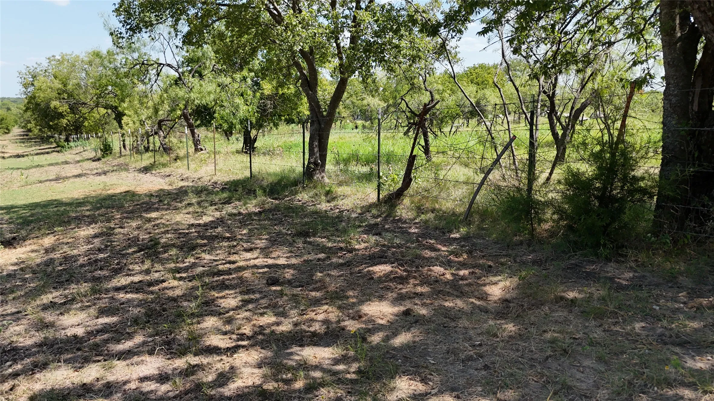 Scattered shade trees provide natural beauty while leaving plenty of open space for your custom build or barn.