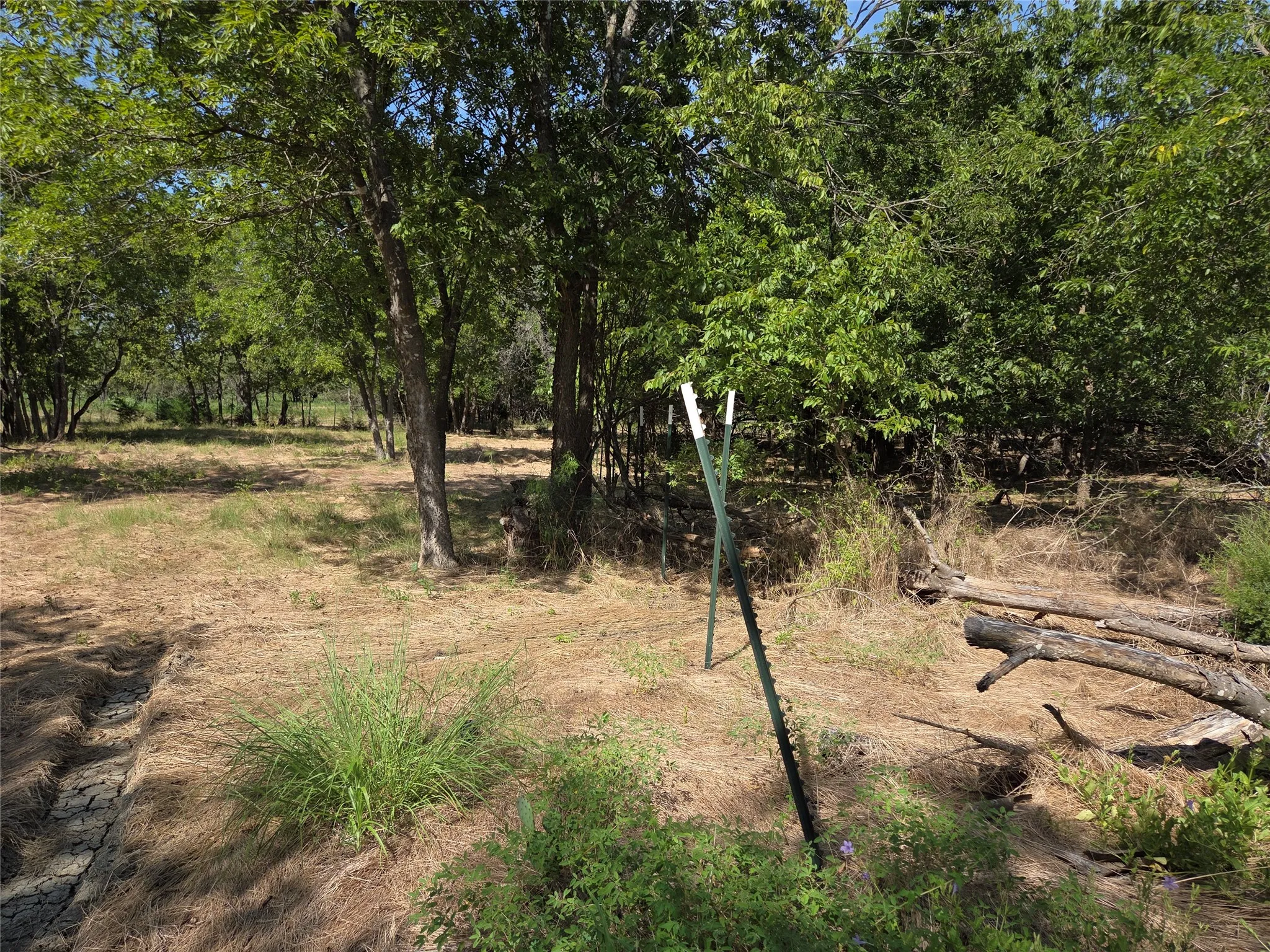 Enjoy multiple shaded areas that offer excellent options for designing a private homesite beneath the trees.