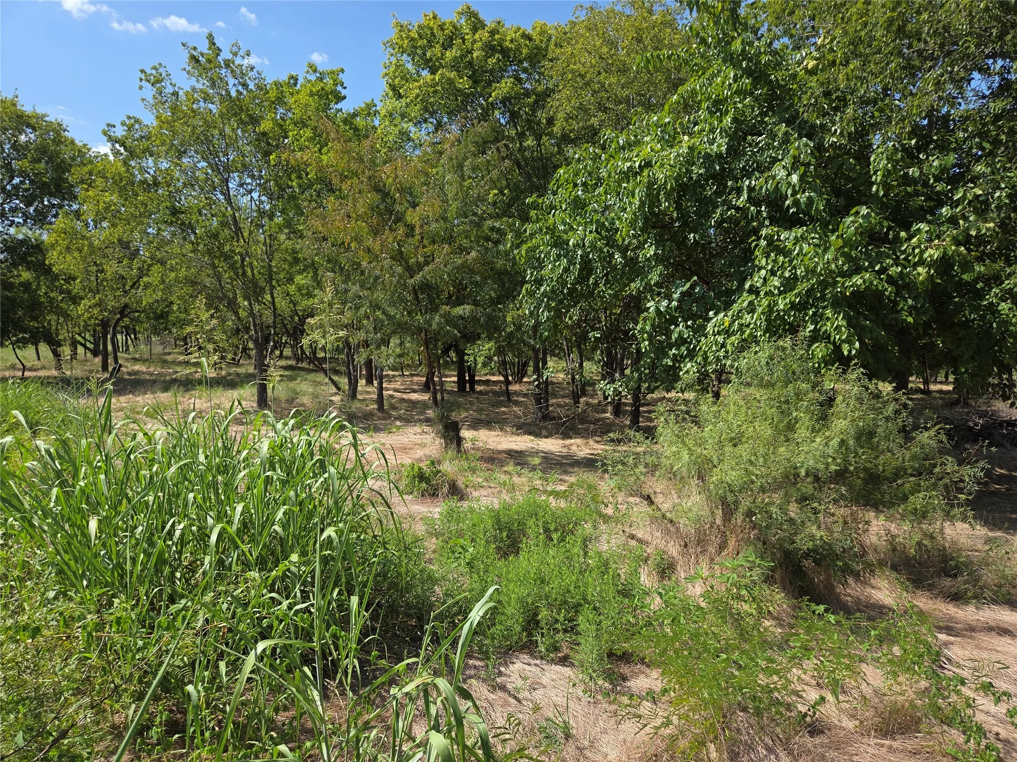 Unimproved Land For Sale in Navarro County , Lot 5-R4 SW County Road, Corsicana, Texas 75110, 0, 0, Garage spaces, 0 Sqft, built in 0, mls#21323947, Real Estate Agent in Corsicana, Homes For Sale in Navarro county, Homes For Sale in Corsicana, Realtor in Corsicana Texas, Real Estate Brokerage Independent Realty Texas, Luminita Cordes Realtor