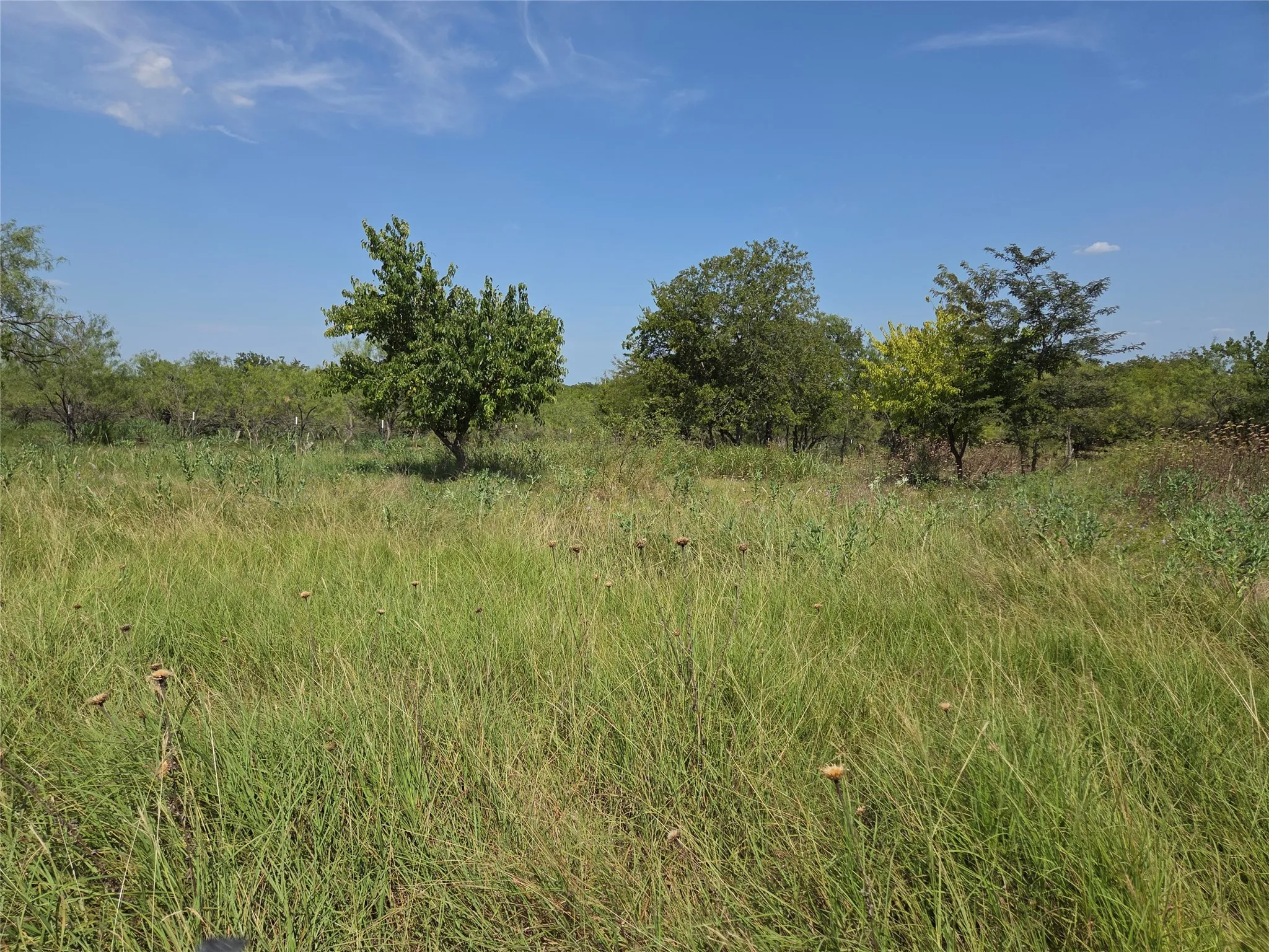 Open terrain makes planning driveways, barns, fencing, and future improvements simple and flexible.