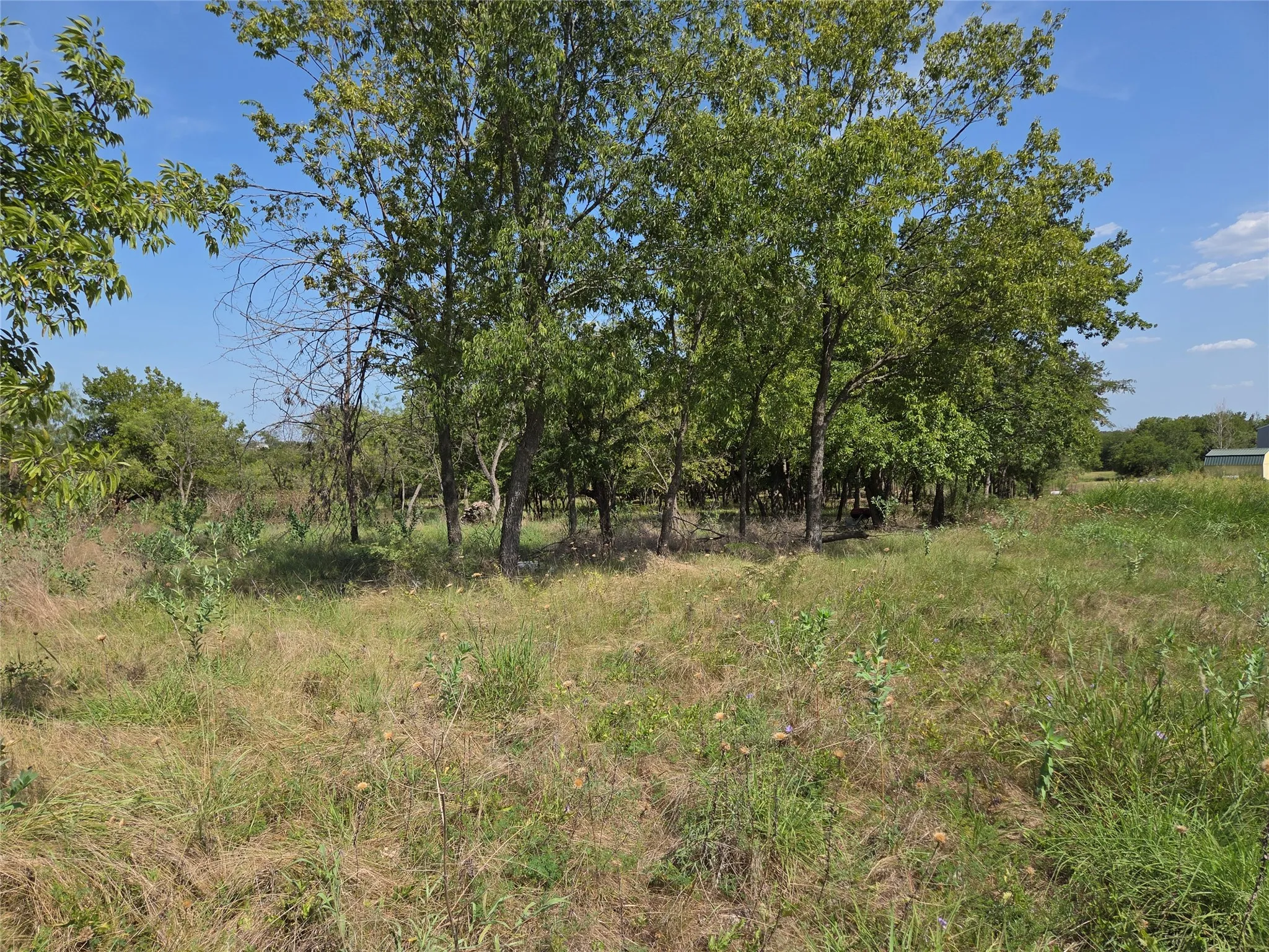 Unimproved Land For Sale in Navarro County , Lot 5-R4 SW County Road, Corsicana, Texas 75110, 0, 0, Garage spaces, 0 Sqft, built in 0, mls#21323947, Real Estate Agent in Corsicana, Homes For Sale in Navarro county, Homes For Sale in Corsicana, Realtor in Corsicana Texas, Real Estate Brokerage Independent Realty Texas, Luminita Cordes Realtor