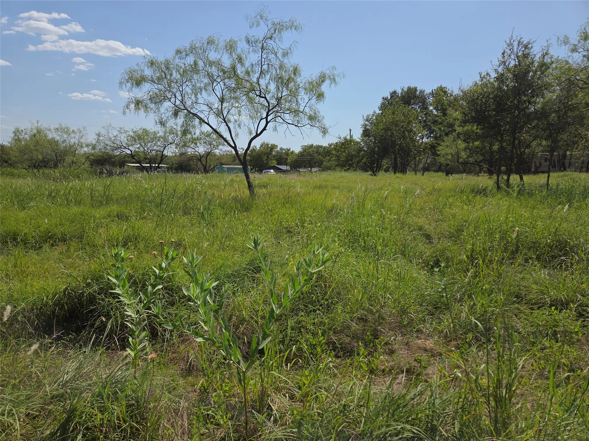 The property's blend of open pasture and wooded areas offers both sunny building sites and shaded retreat spaces.