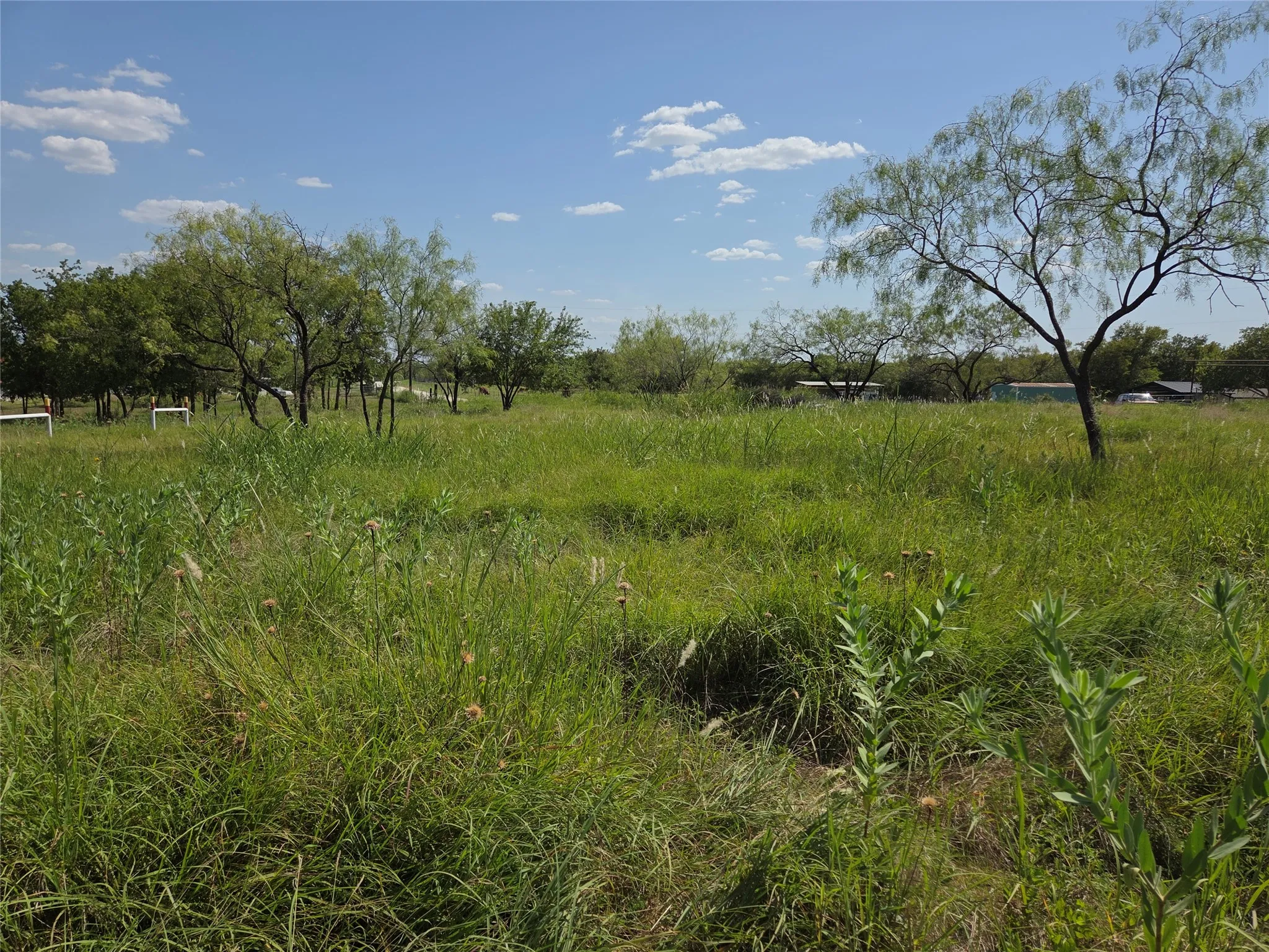 A wooded section with a seasonal drainage area attracts wildlife while adding natural beauty and privacy.