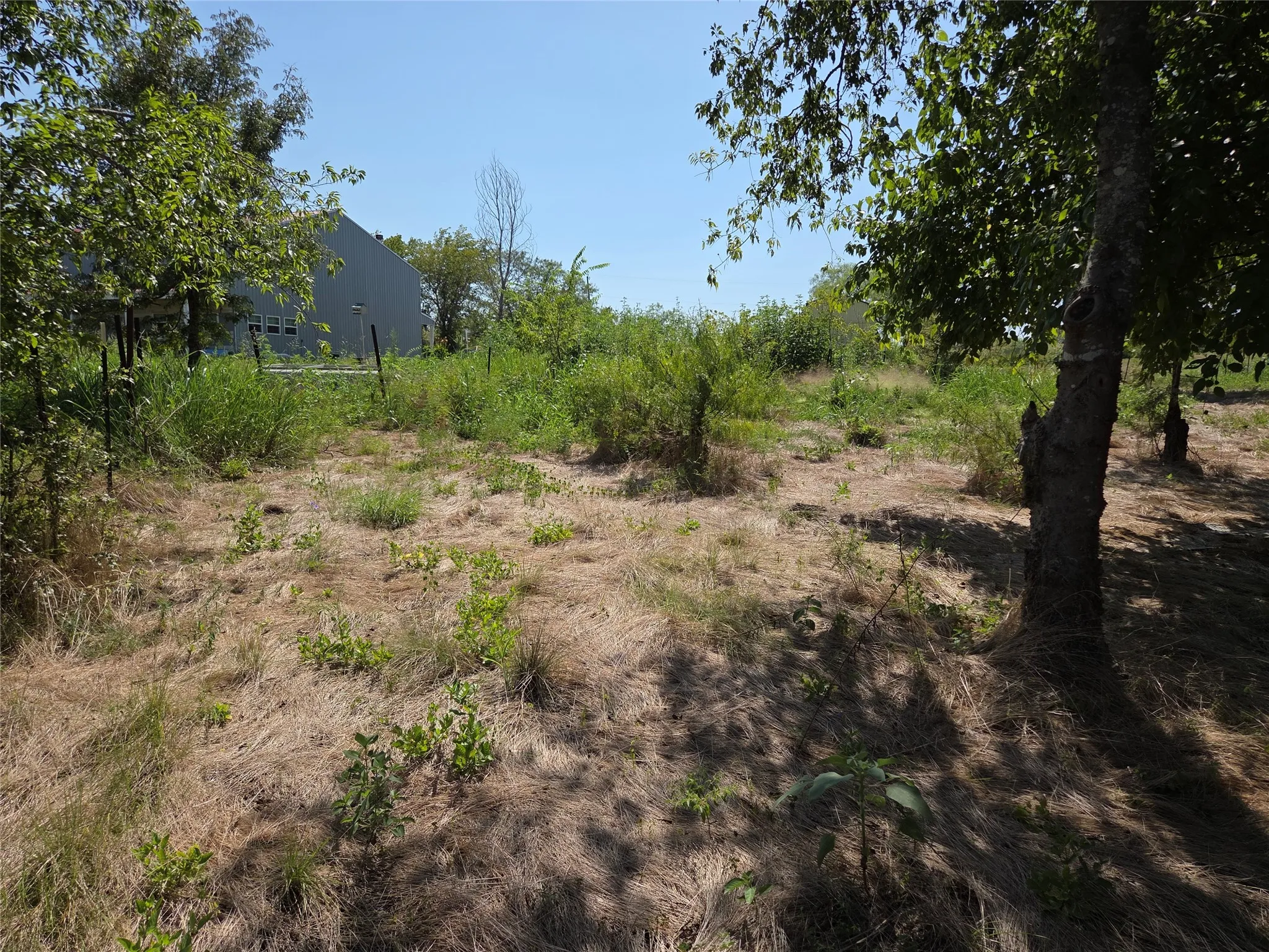 Mature hardwoods and native vegetation create a scenic landscape with privacy and plenty of character for your future homesite.
