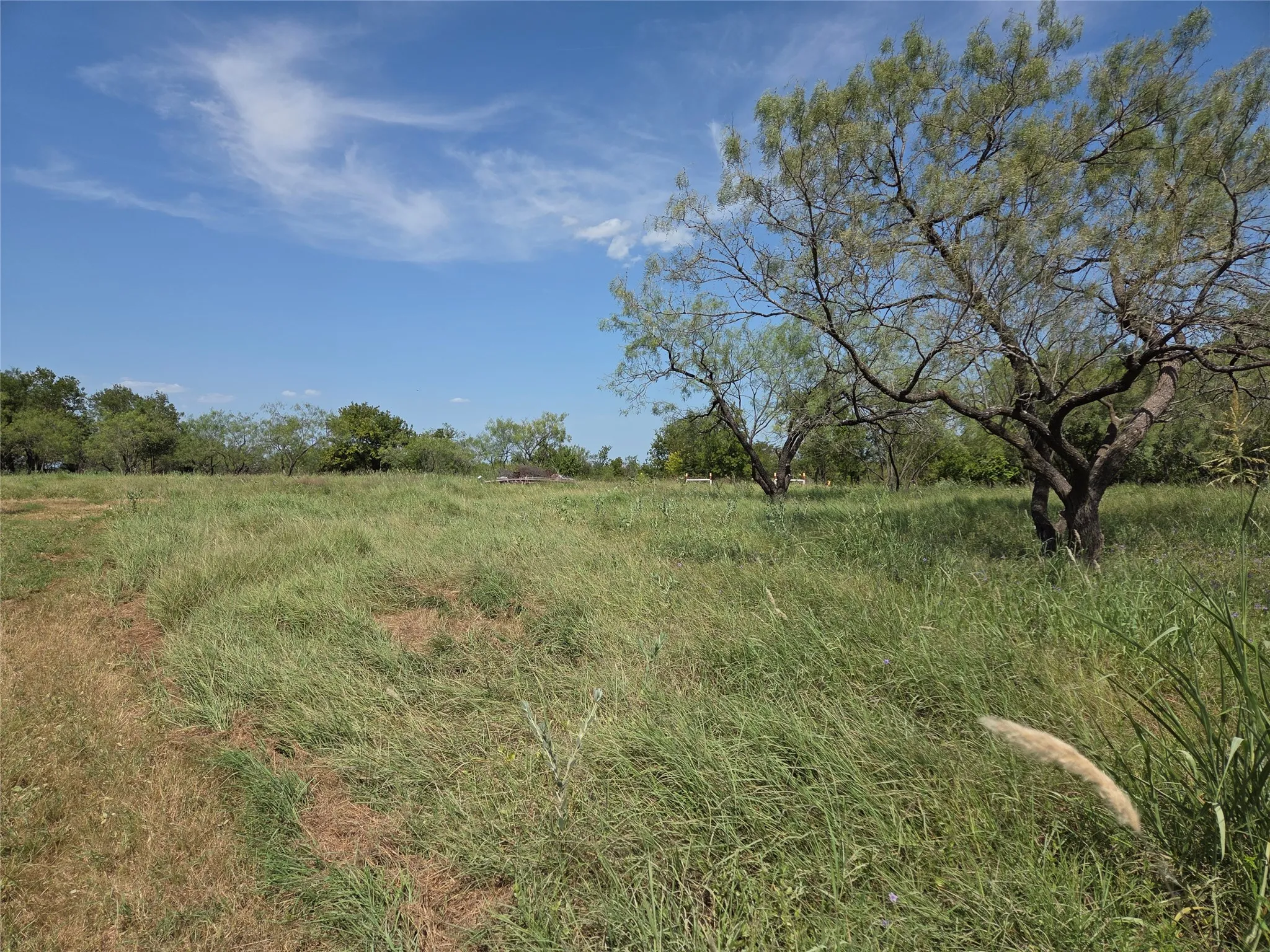 Unimproved Land For Sale in Navarro County , Lot 5-R4 SW County Road, Corsicana, Texas 75110, 0, 0, Garage spaces, 0 Sqft, built in 0, mls#21323947, Real Estate Agent in Corsicana, Homes For Sale in Navarro county, Homes For Sale in Corsicana, Realtor in Corsicana Texas, Real Estate Brokerage Independent Realty Texas, Luminita Cordes Realtor