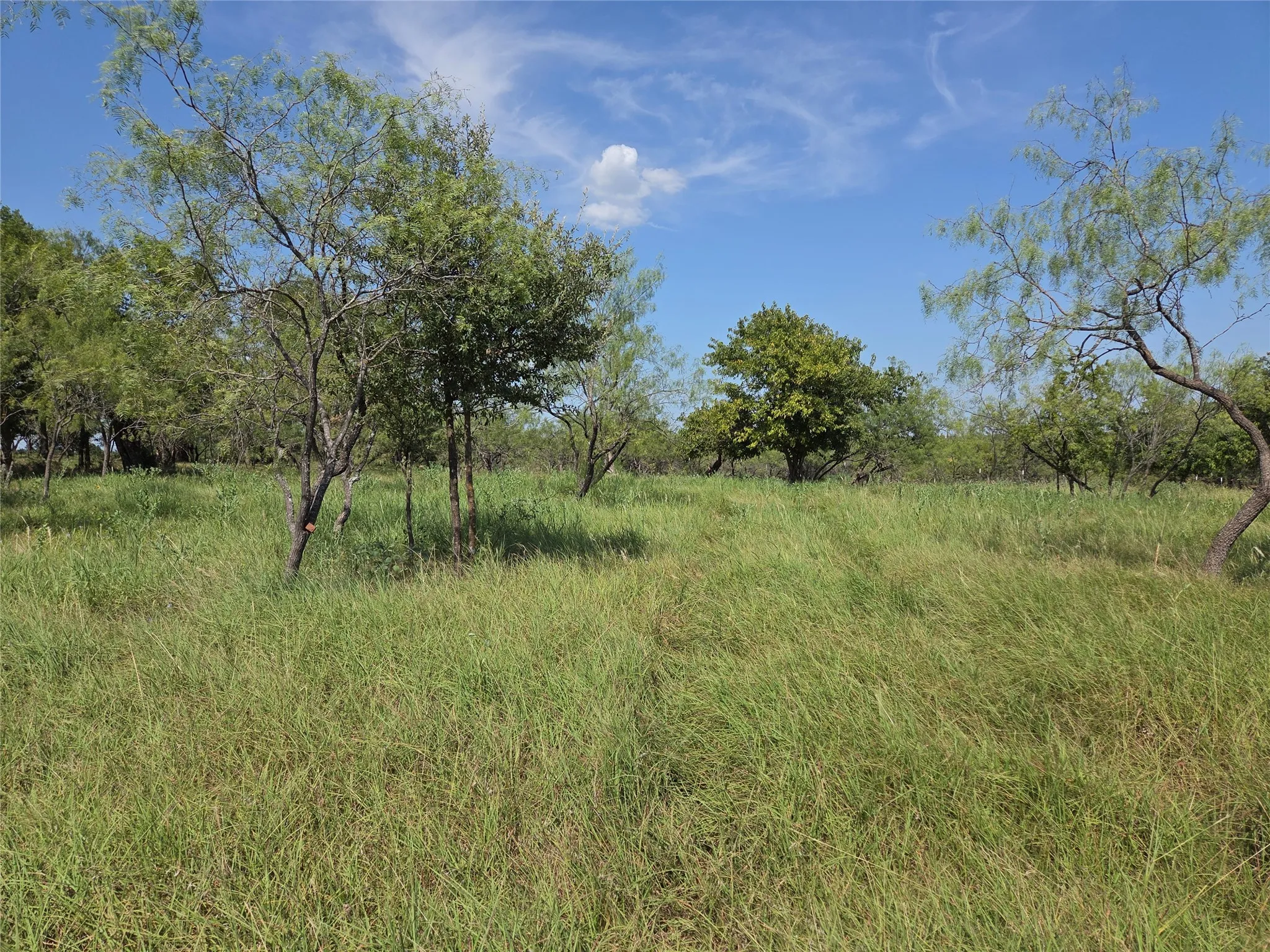 With nearly three acres to enjoy, there's room for a home, workshop, garden, and space to roam.