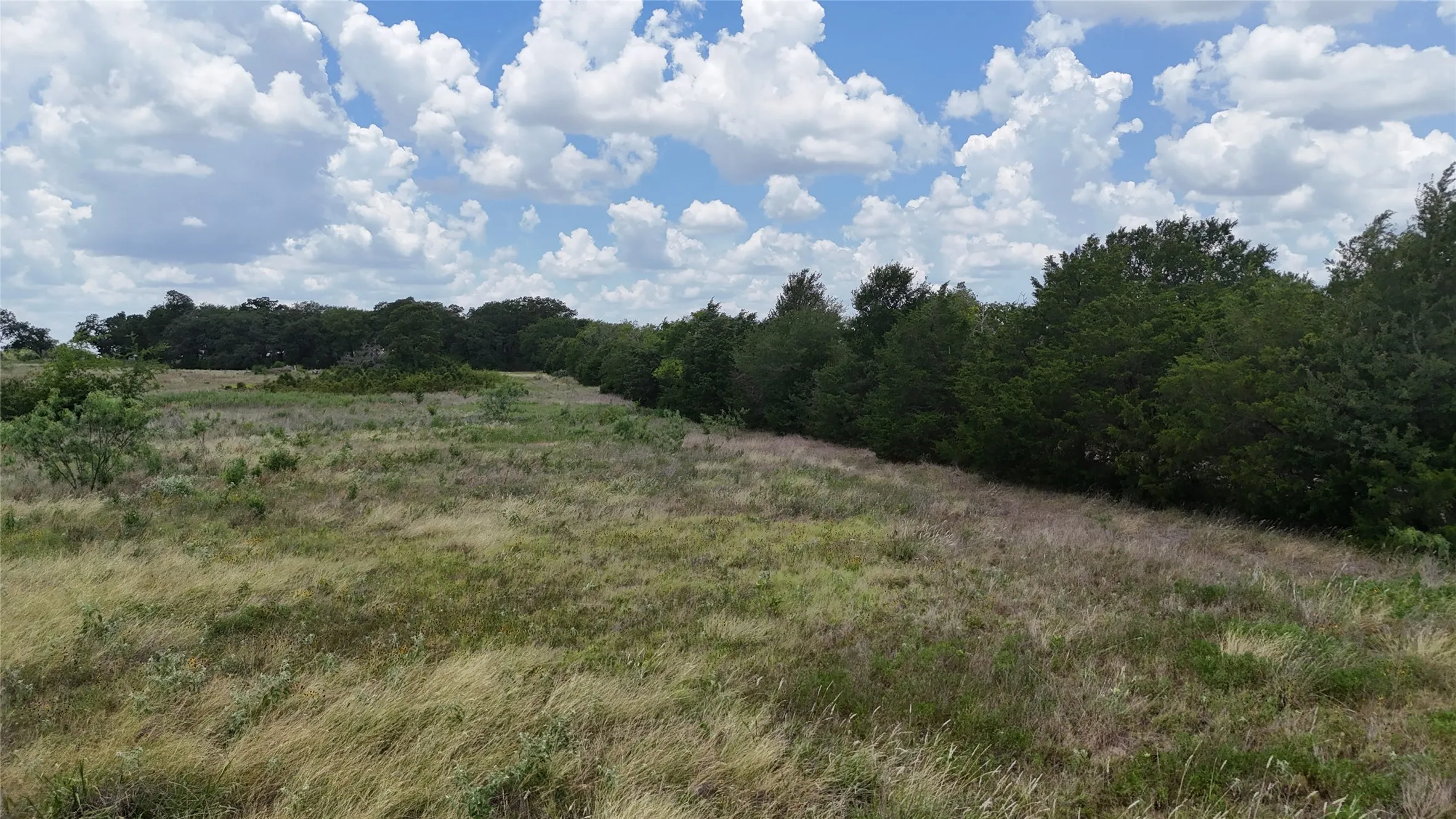 Enjoy space for horses, cattle, sheep, goats, or other livestock on this versatile Texas property.