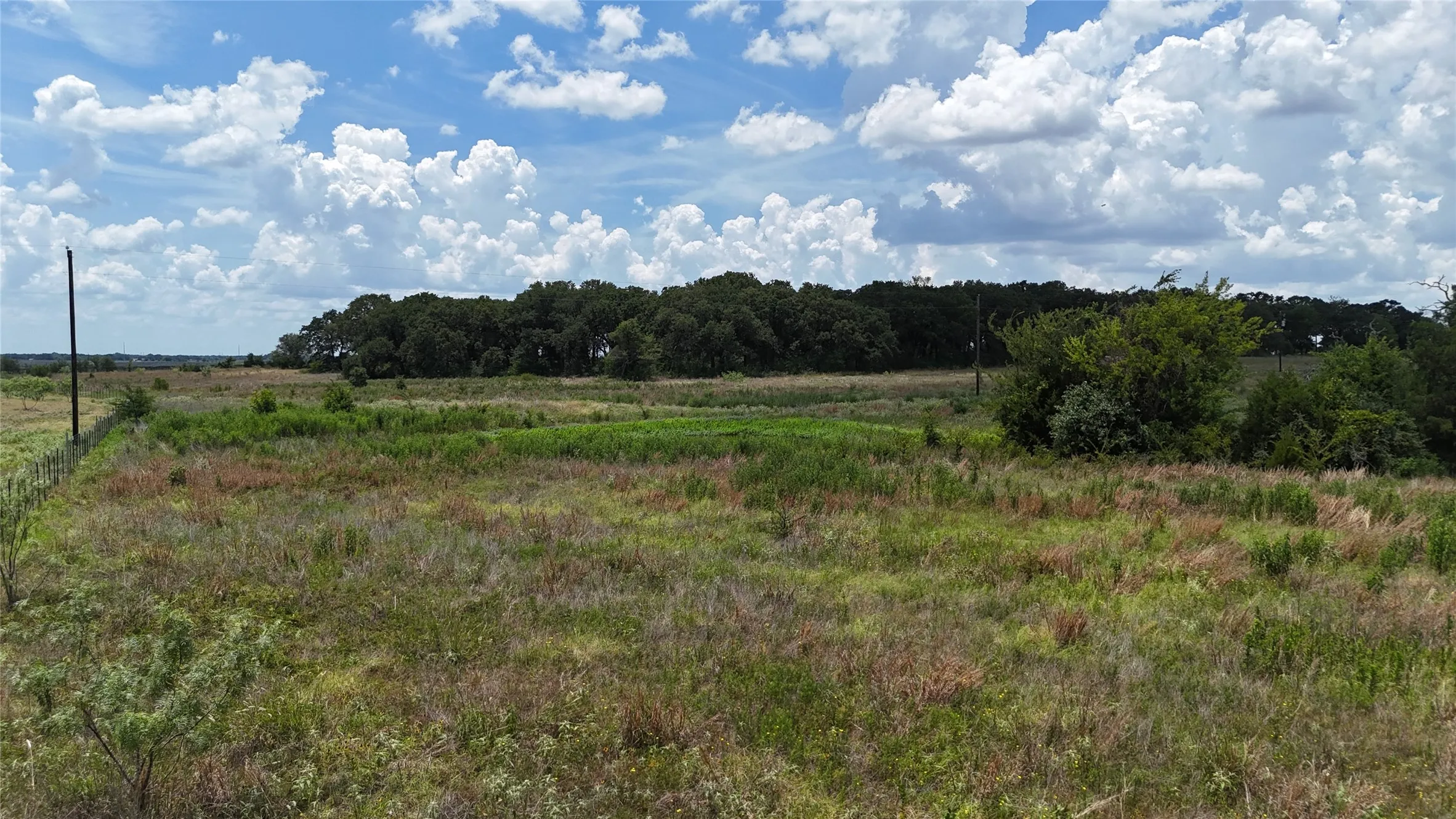 This Kerens property combines usable pasture, natural beauty, and room to make it your own.
